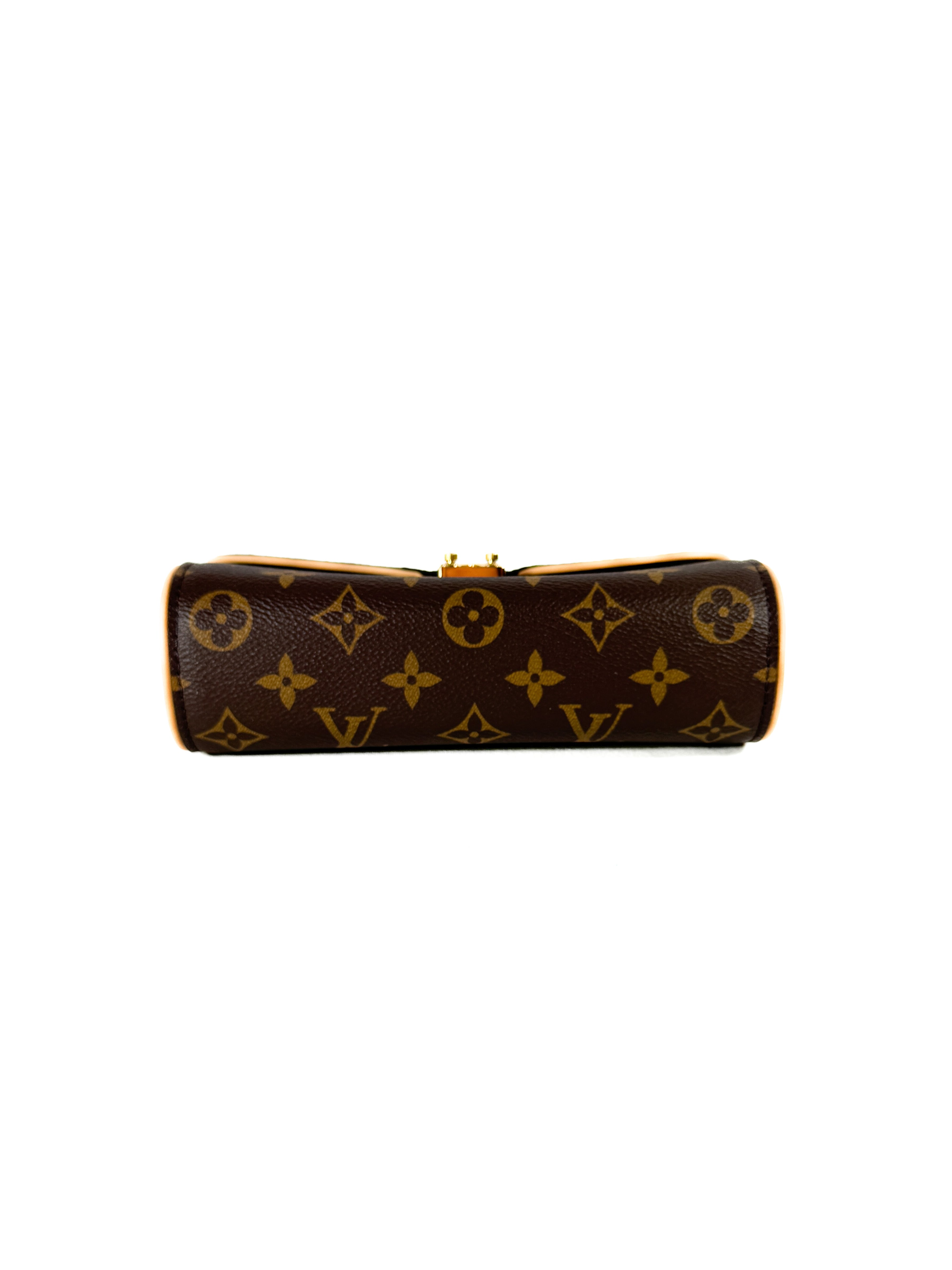 Louis Vuitton monogram pochette Camille NFC