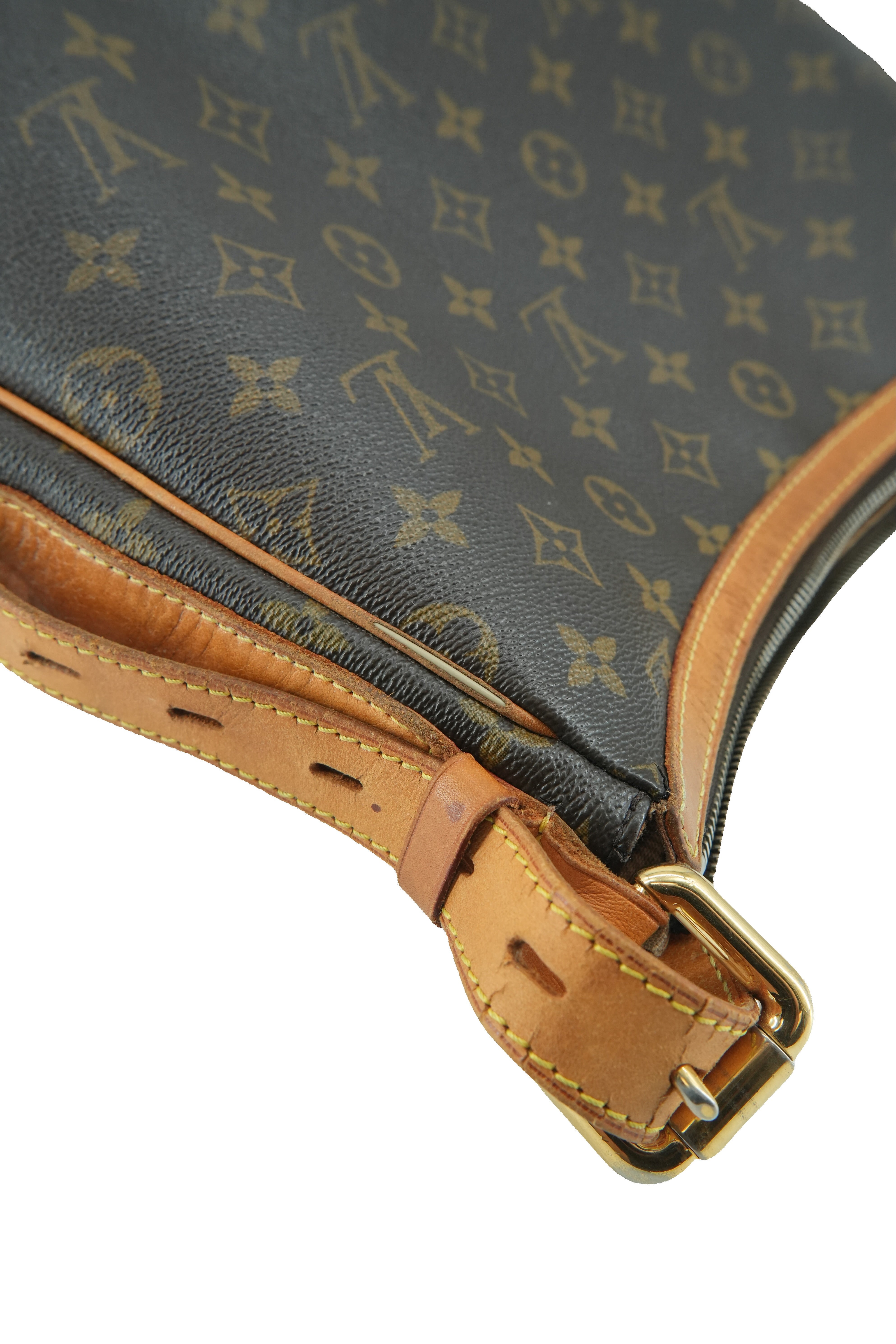 Louis Vuitton monogram Tulum PM shoulder bag CA0017