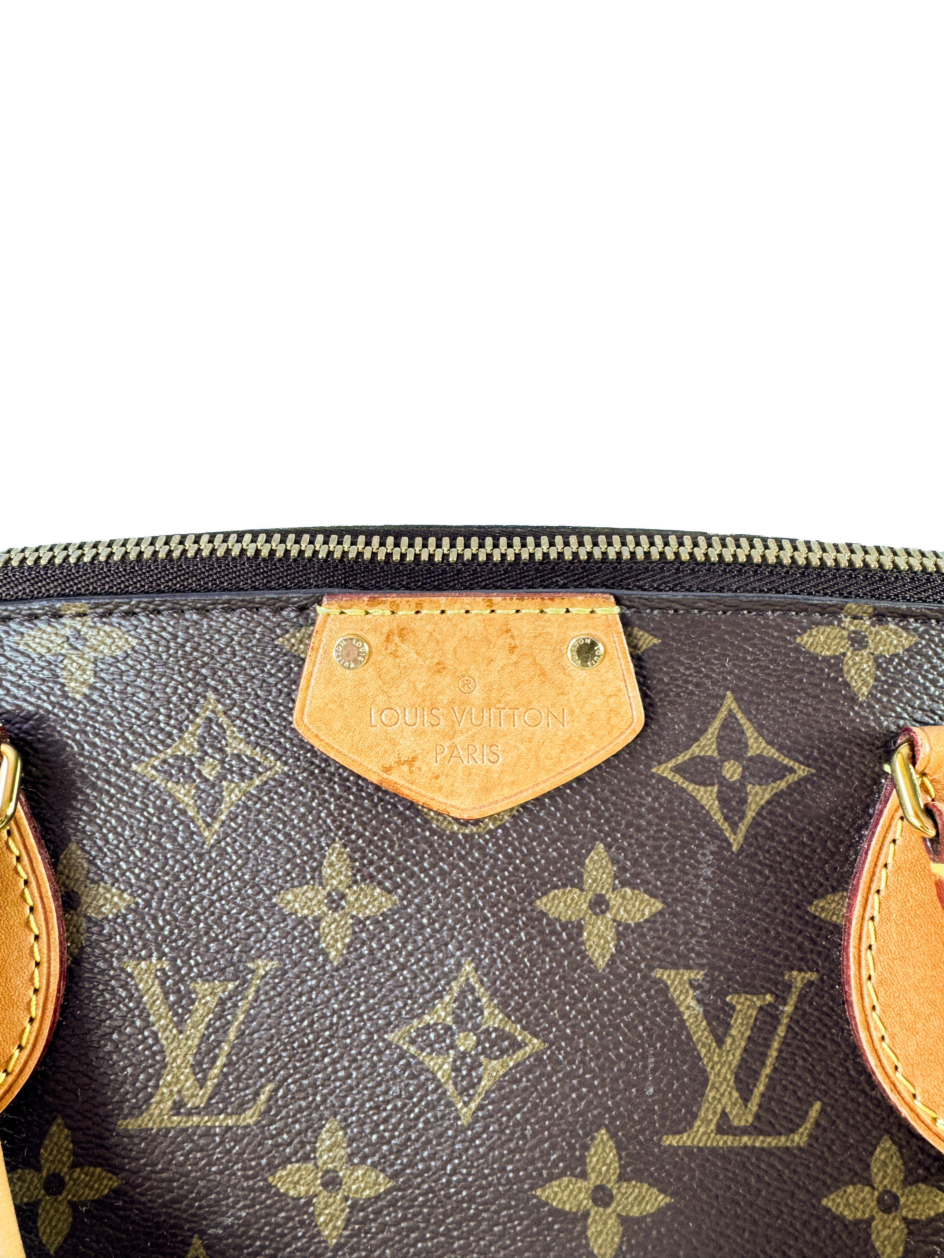 Louis Vuitton monogram Turenne MM SR2116