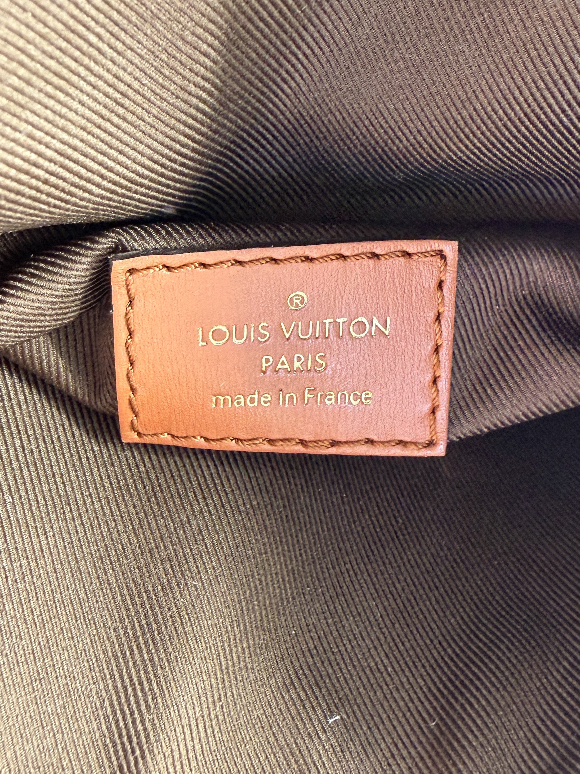 Louis Vuitton reverse monogram Loop Hobo NFC