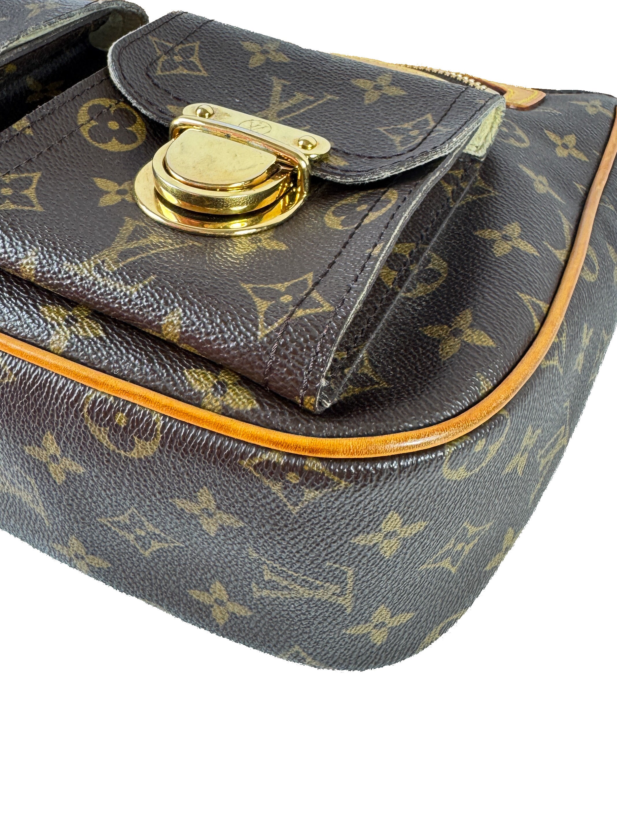 Louis Vuitton monogram Hudson GM VI0046