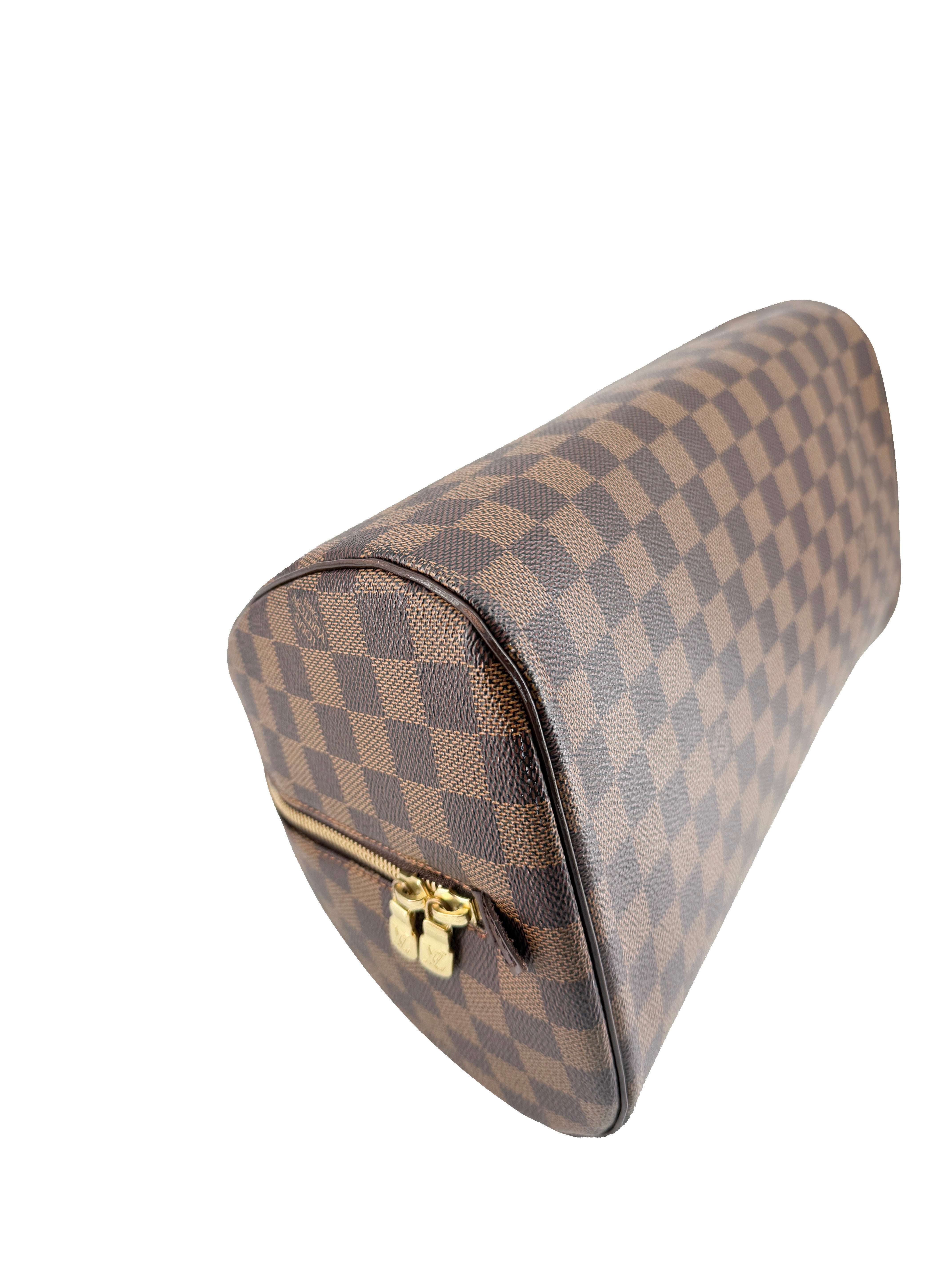 Louis Vuitton damier ebene Ribera MM CA0065