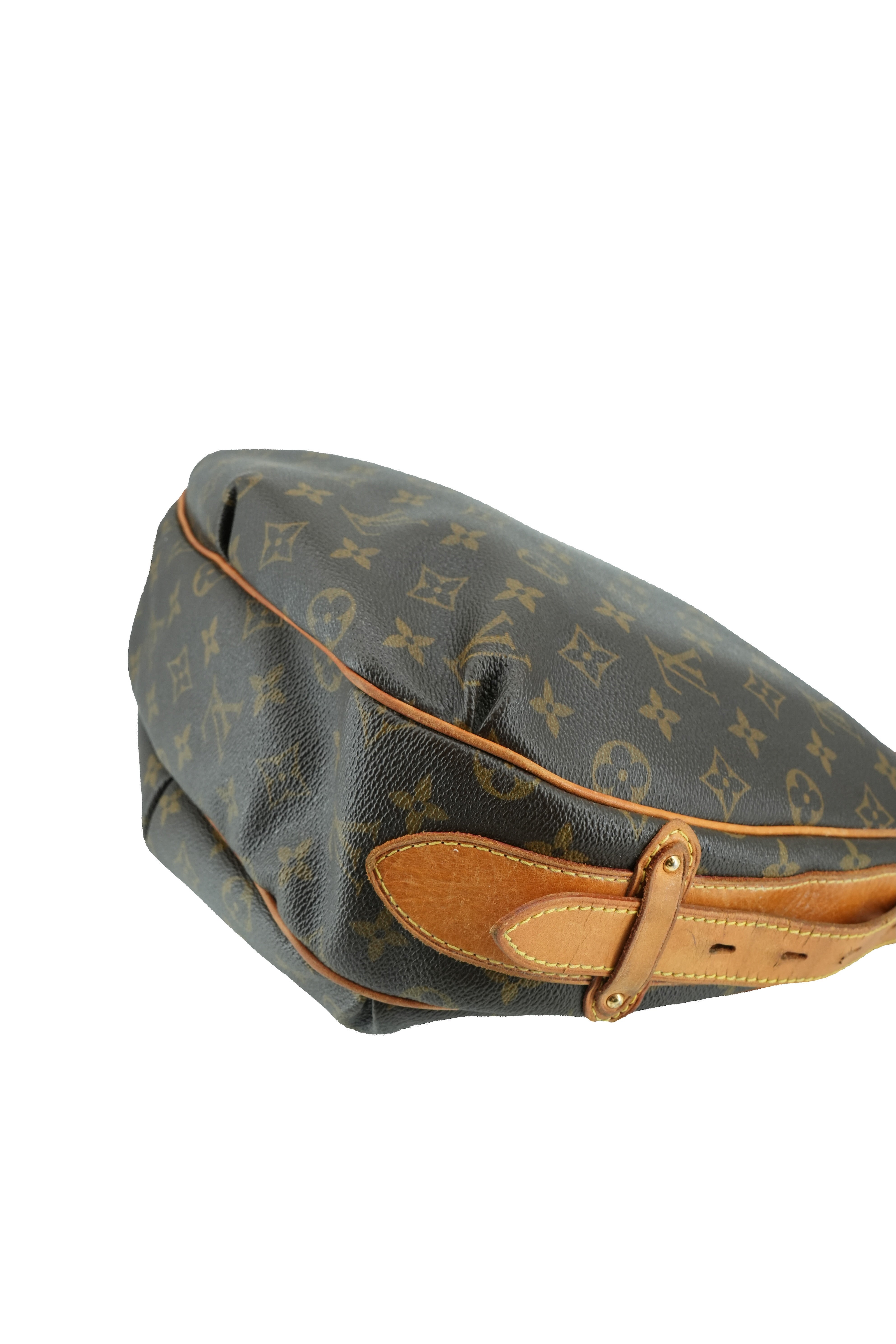 Louis Vuitton monogram Tulum PM shoulder bag CA0017