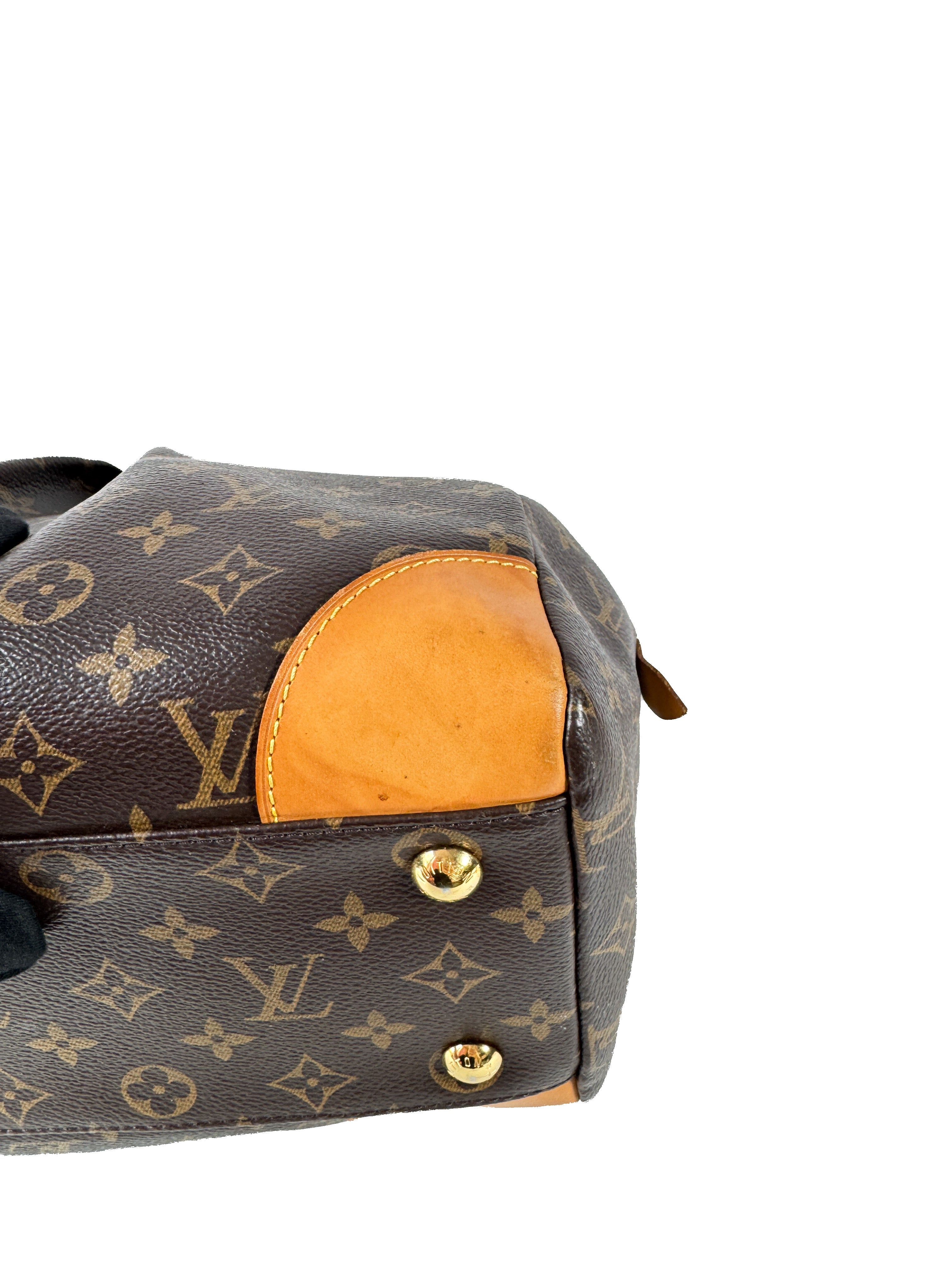 Louis Vuitton monogram Segur bag SP4105