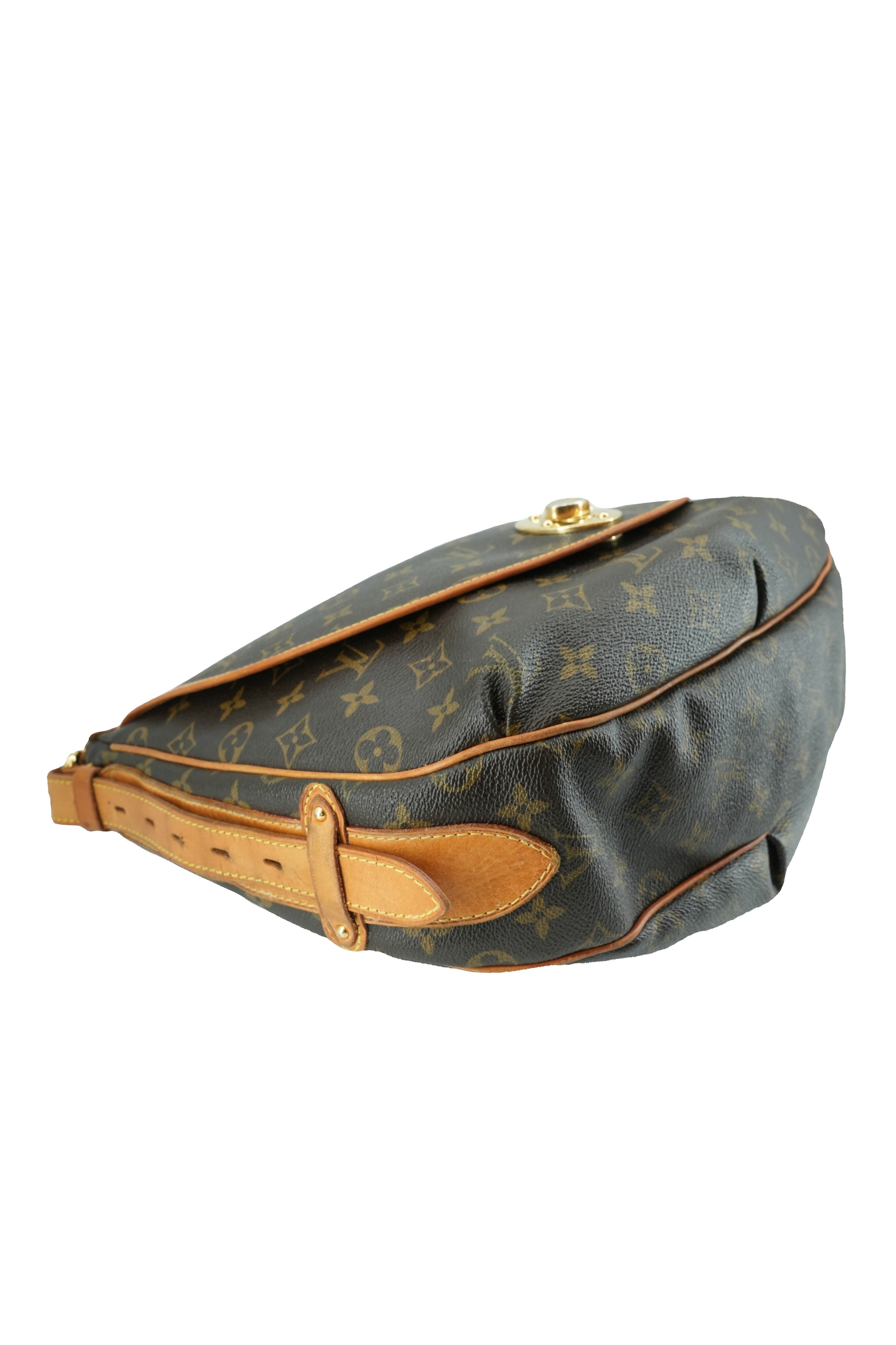 Louis Vuitton monogram Tulum PM shoulder bag CA0017