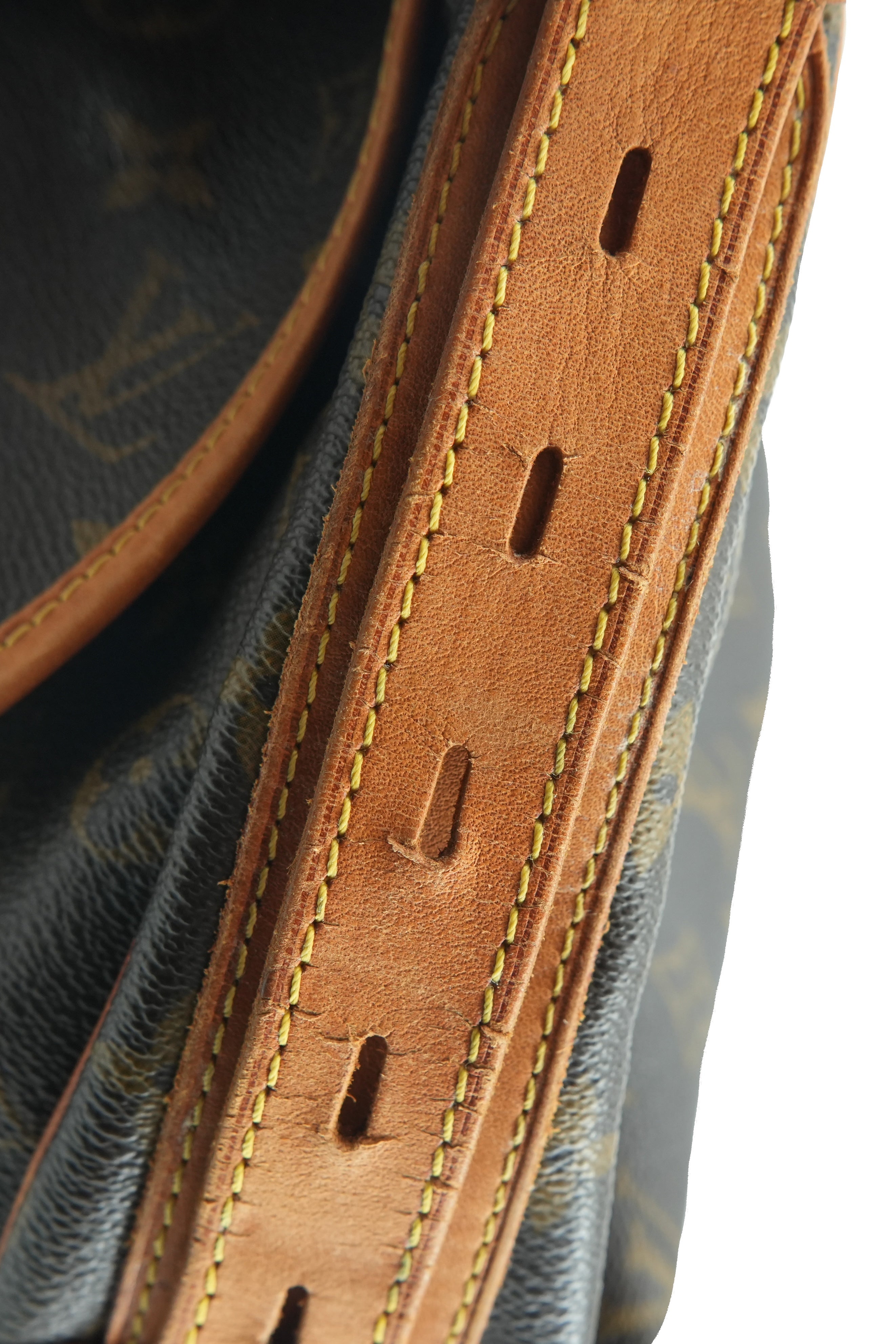 Louis Vuitton monogram Tulum PM shoulder bag CA0017