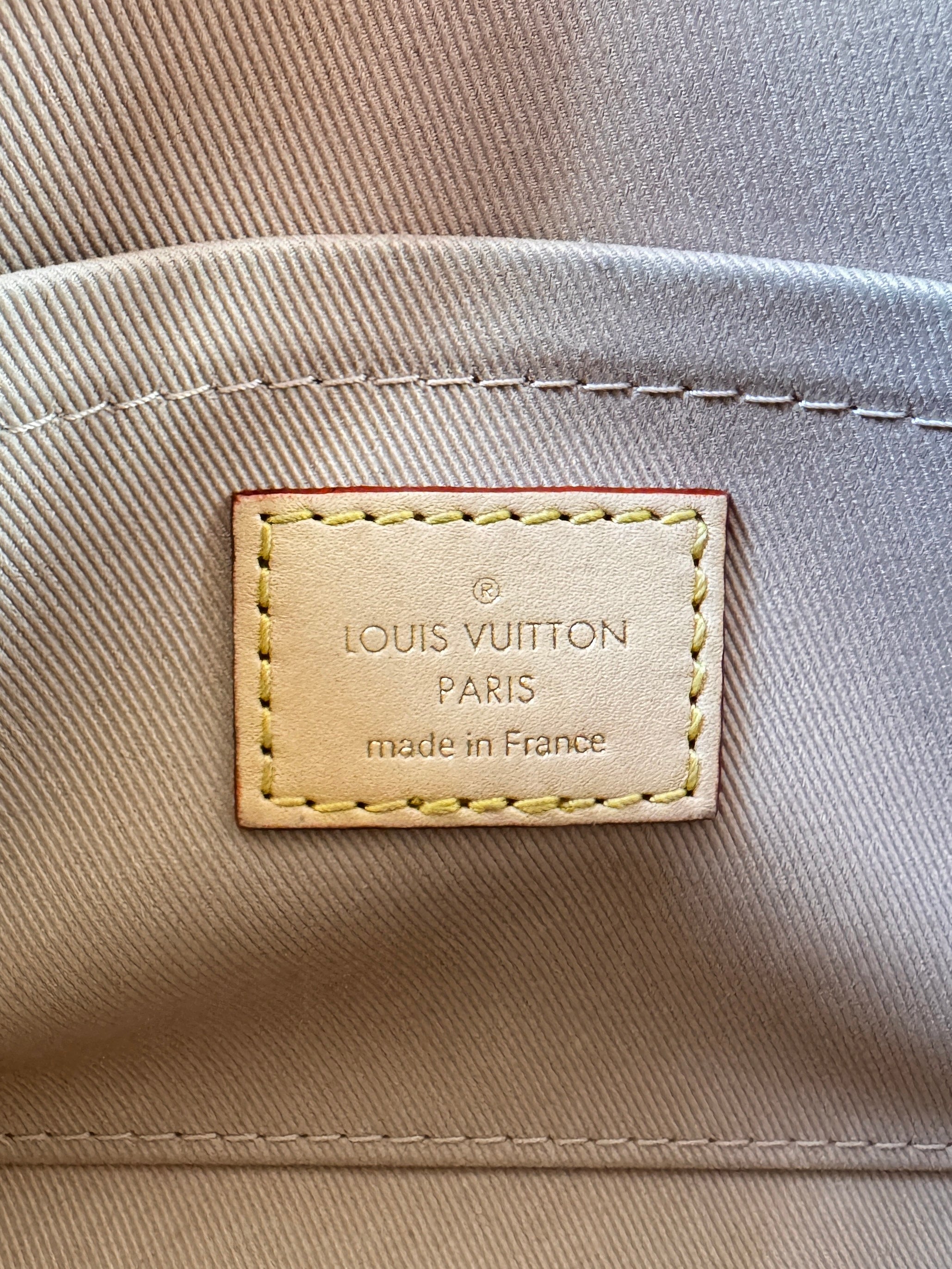 Louis Vuitton monogram Cluny Mini NFC