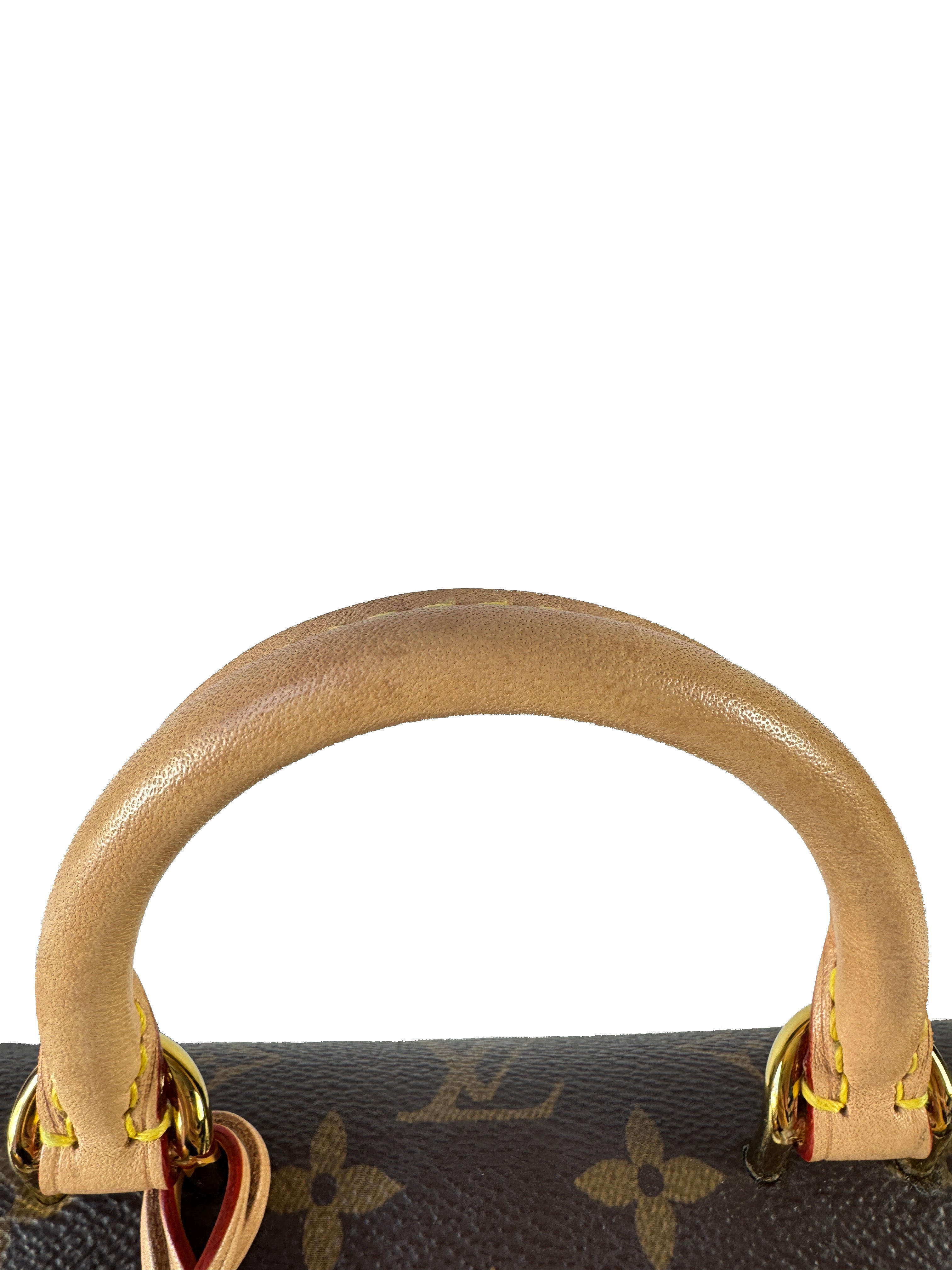 Louis Vuitton monogram Cluny Mini NFC