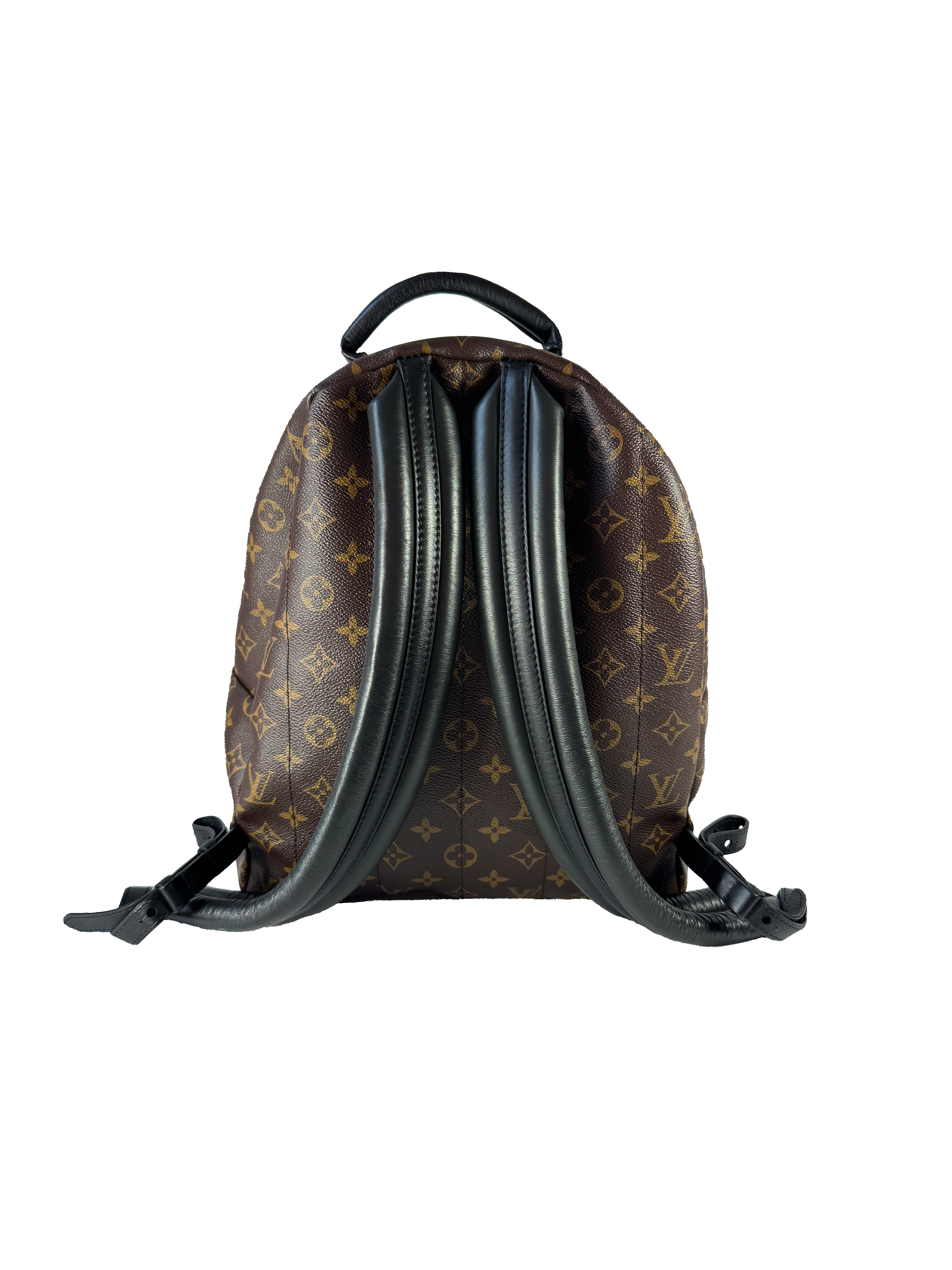 Louis Vuitton Palm Springs Backpack Monogram Canvas MM FL3198