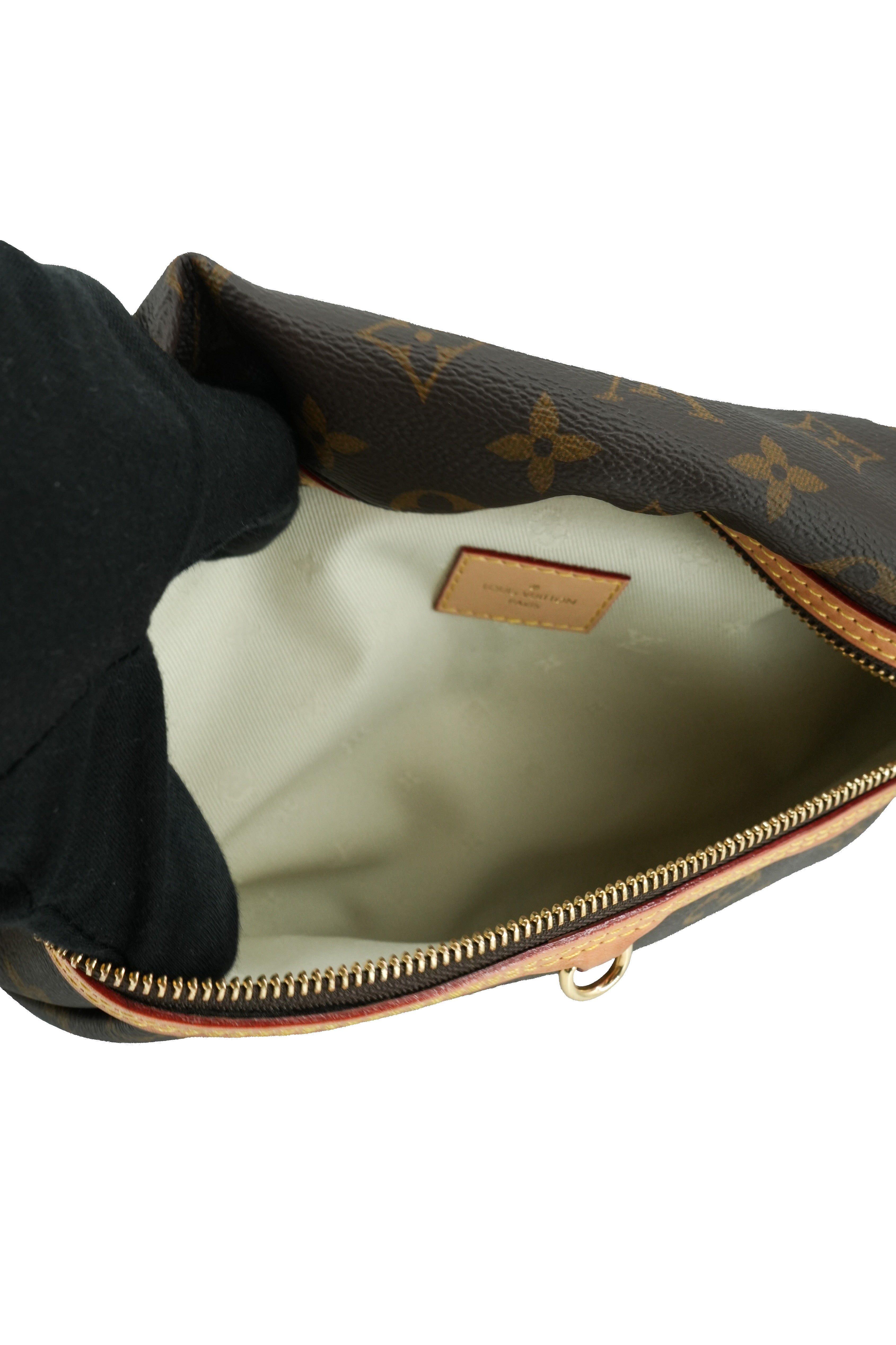 Louis Vuitton monogram high rise bum bag NFC