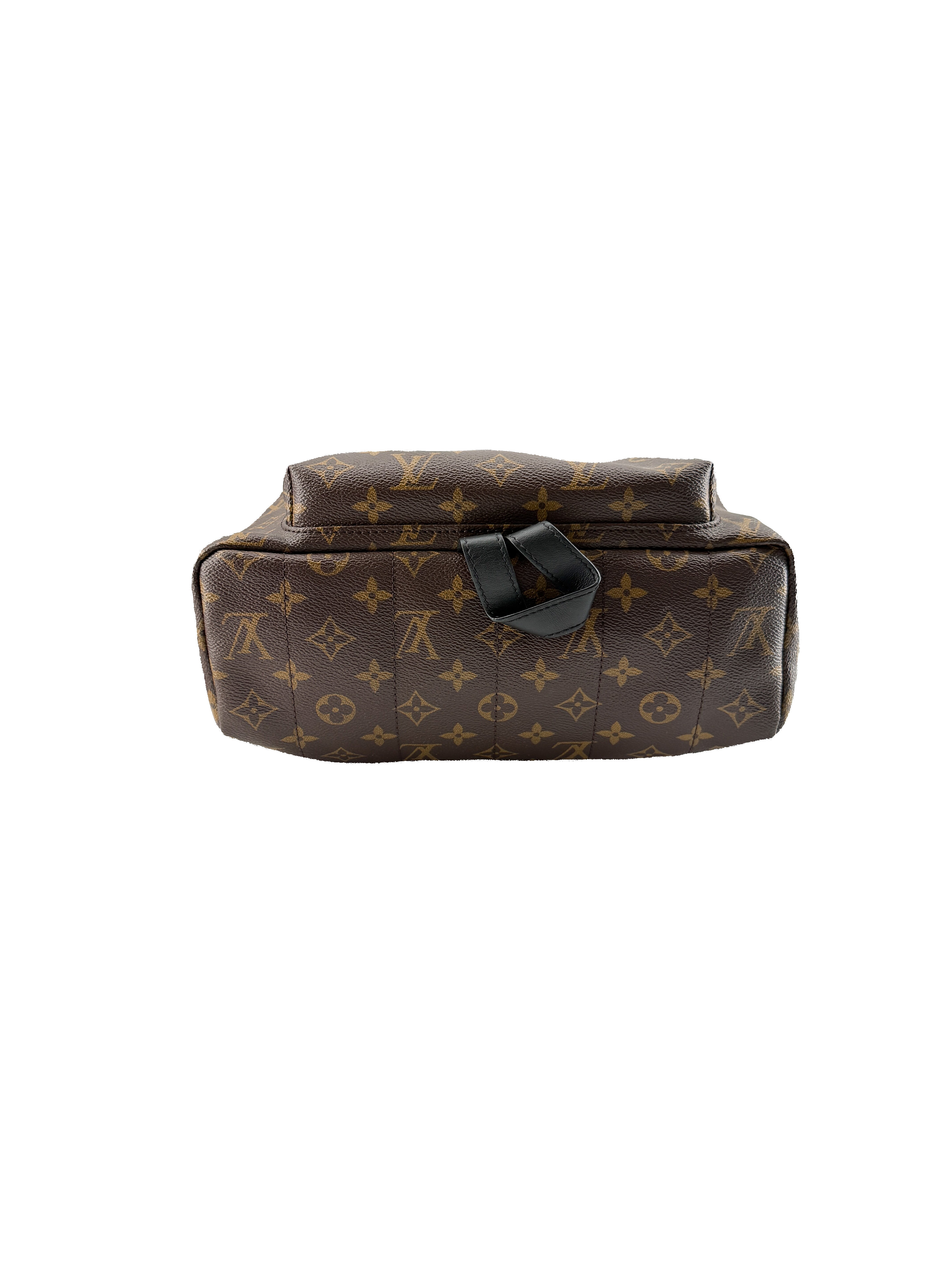 Louis Vuitton monogram Palm Springs MM FL3198