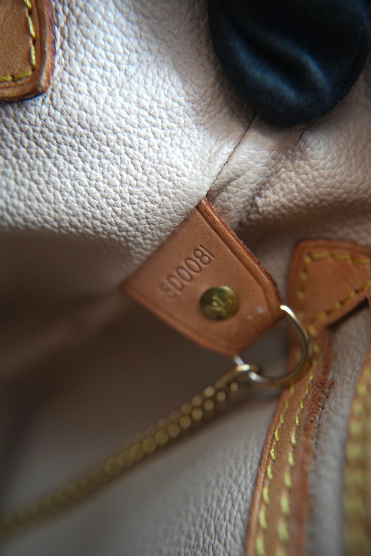 Louis Vuitton monogram Bucket PM SD0081