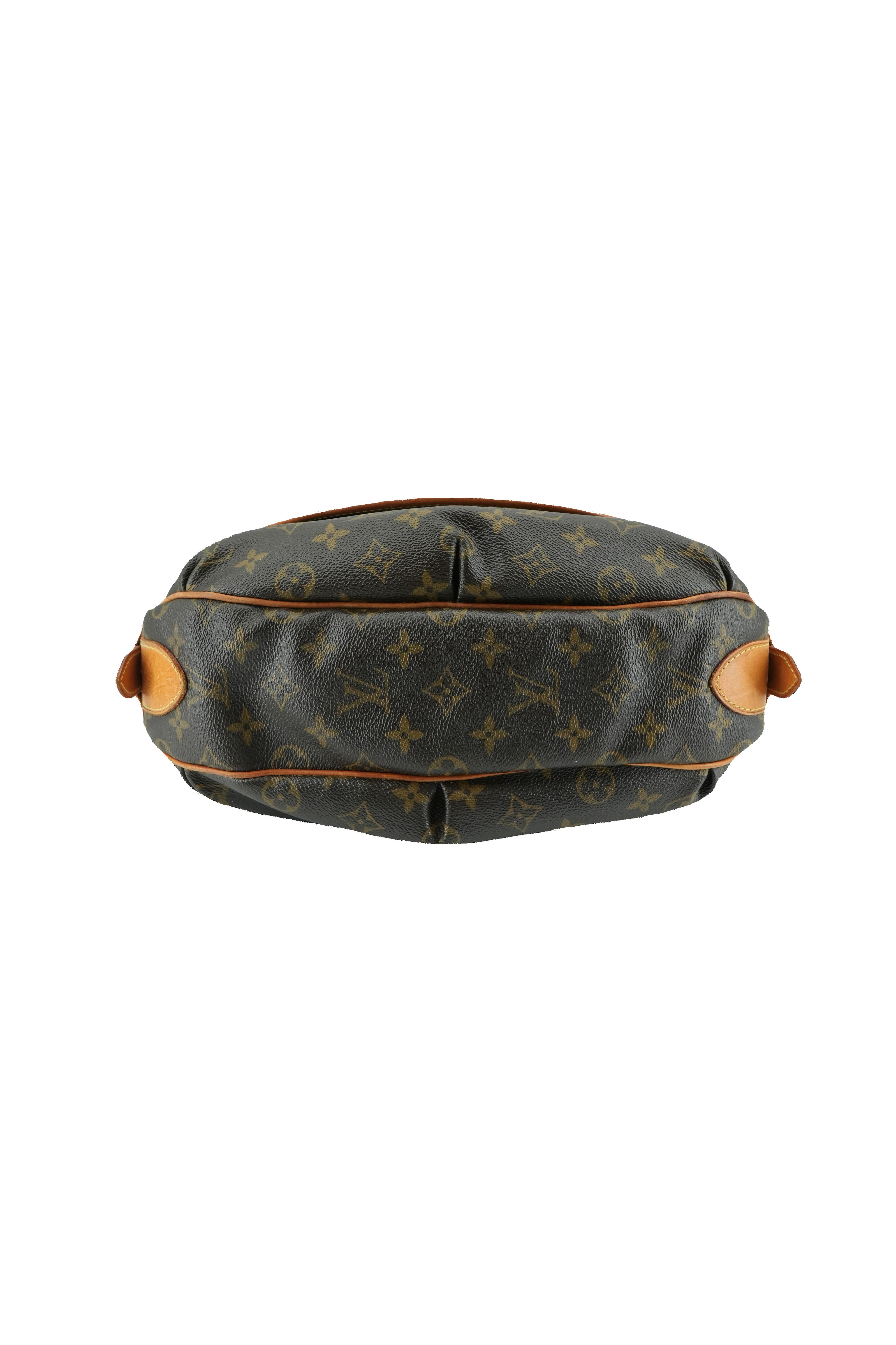 Louis Vuitton monogram Tulum PM shoulder bag CA0017