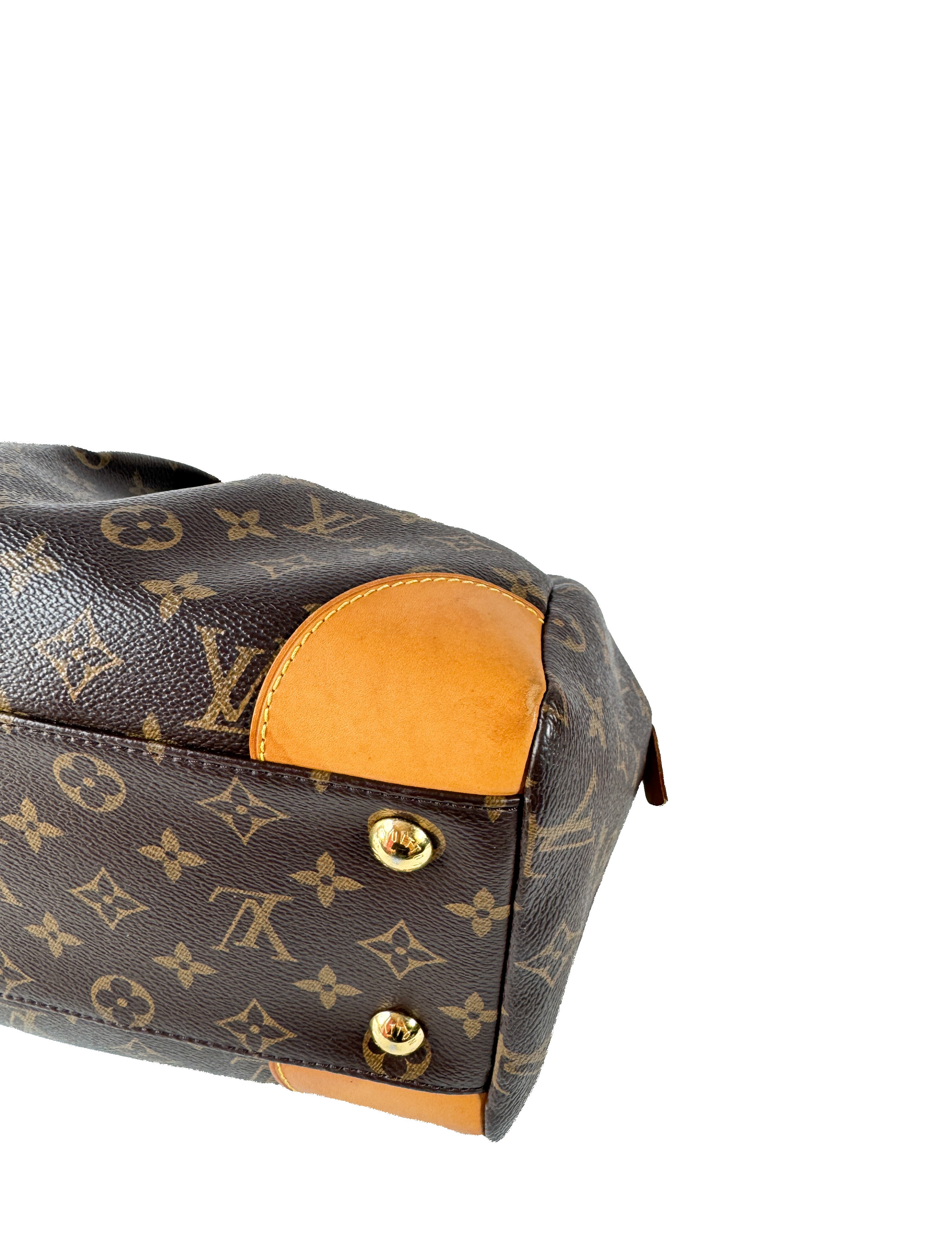 Louis Vuitton monogram Segur bag SP4105