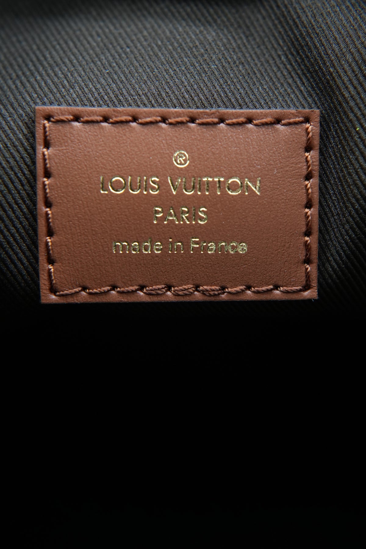 Louis Vuitton monogram Loop hobo NFC