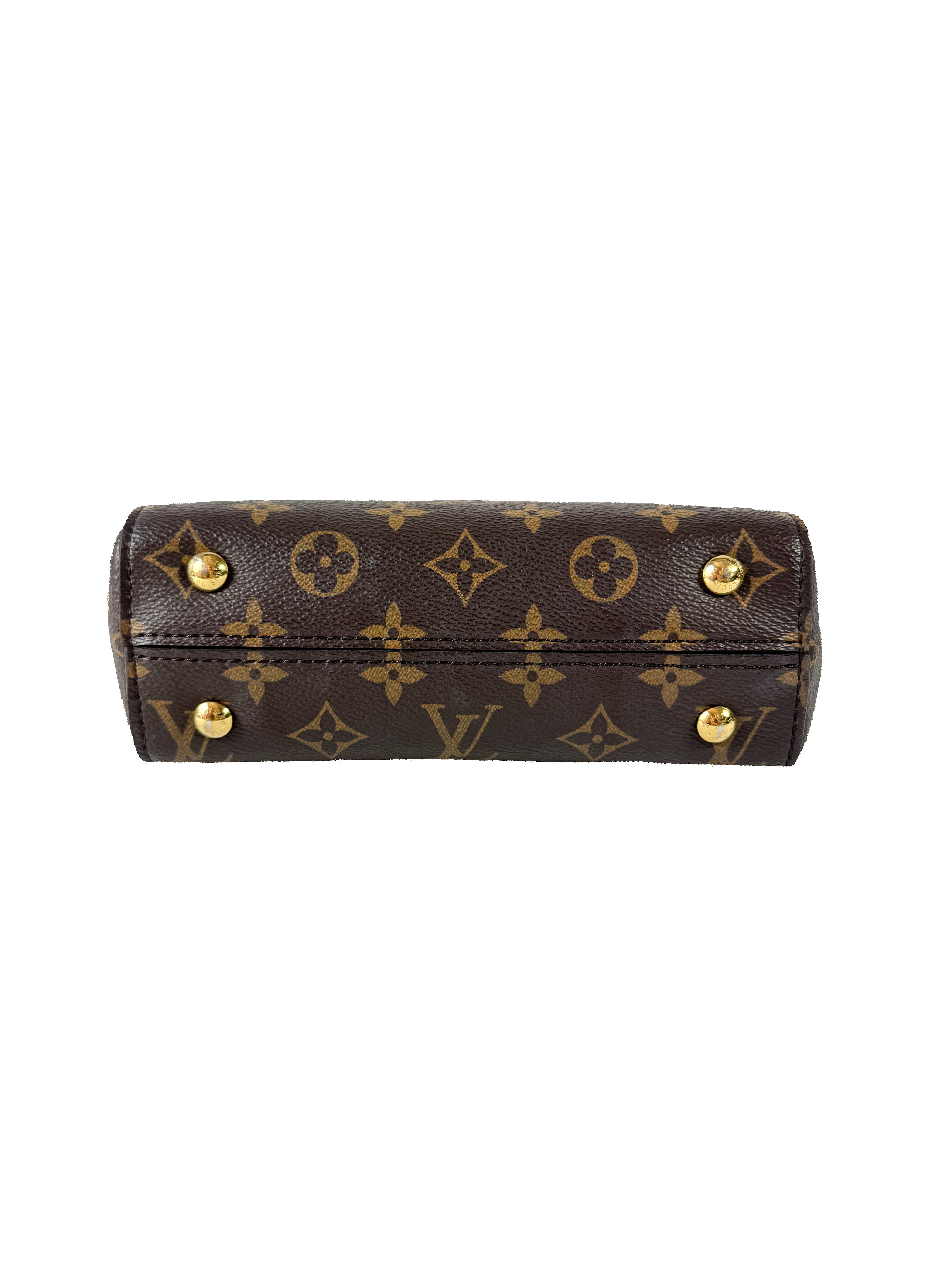 Louis Vuitton monogram Cluny Mini NFC