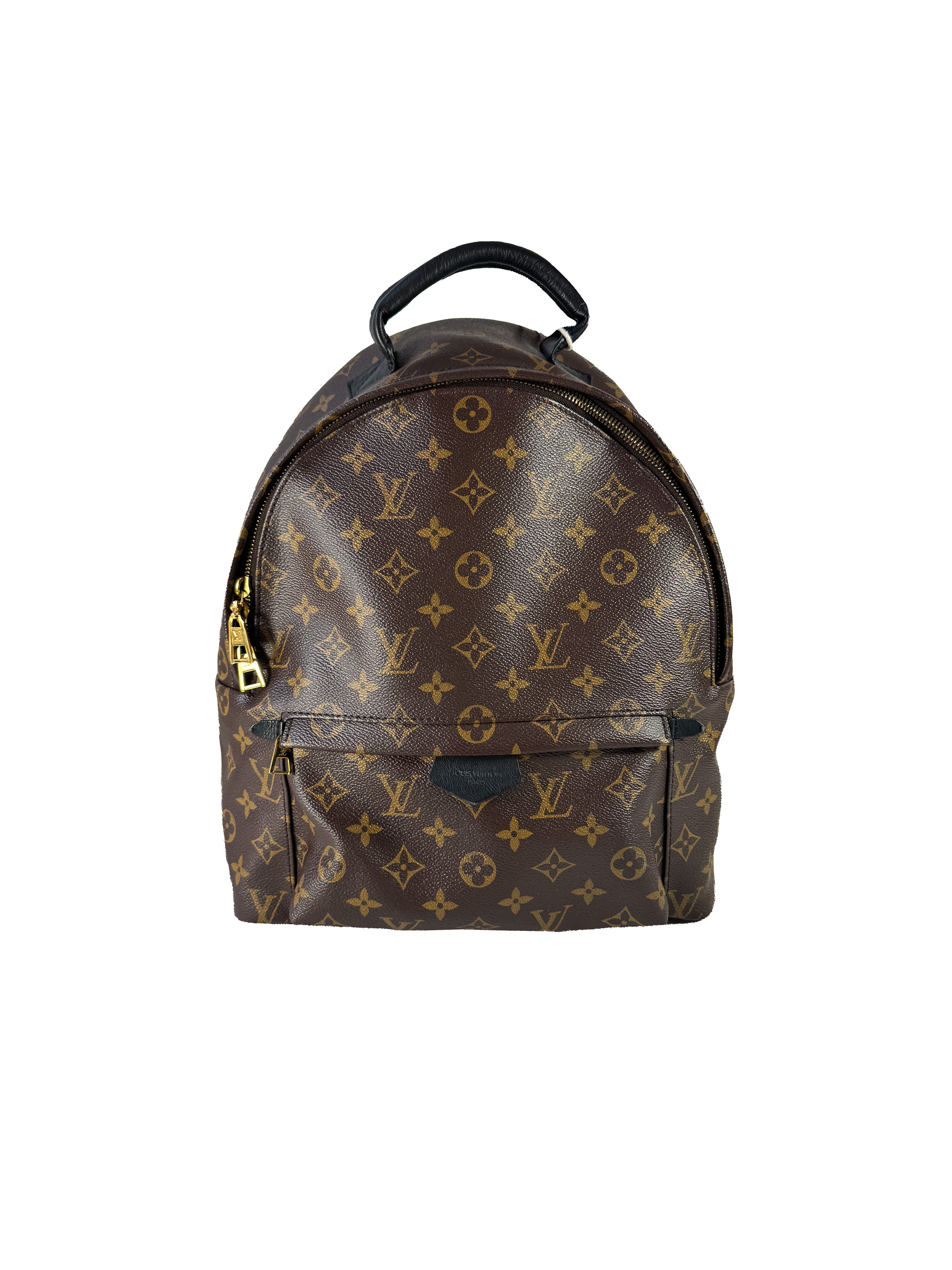 Louis Vuitton Palm Springs Backpack Monogram Canvas MM FL3198