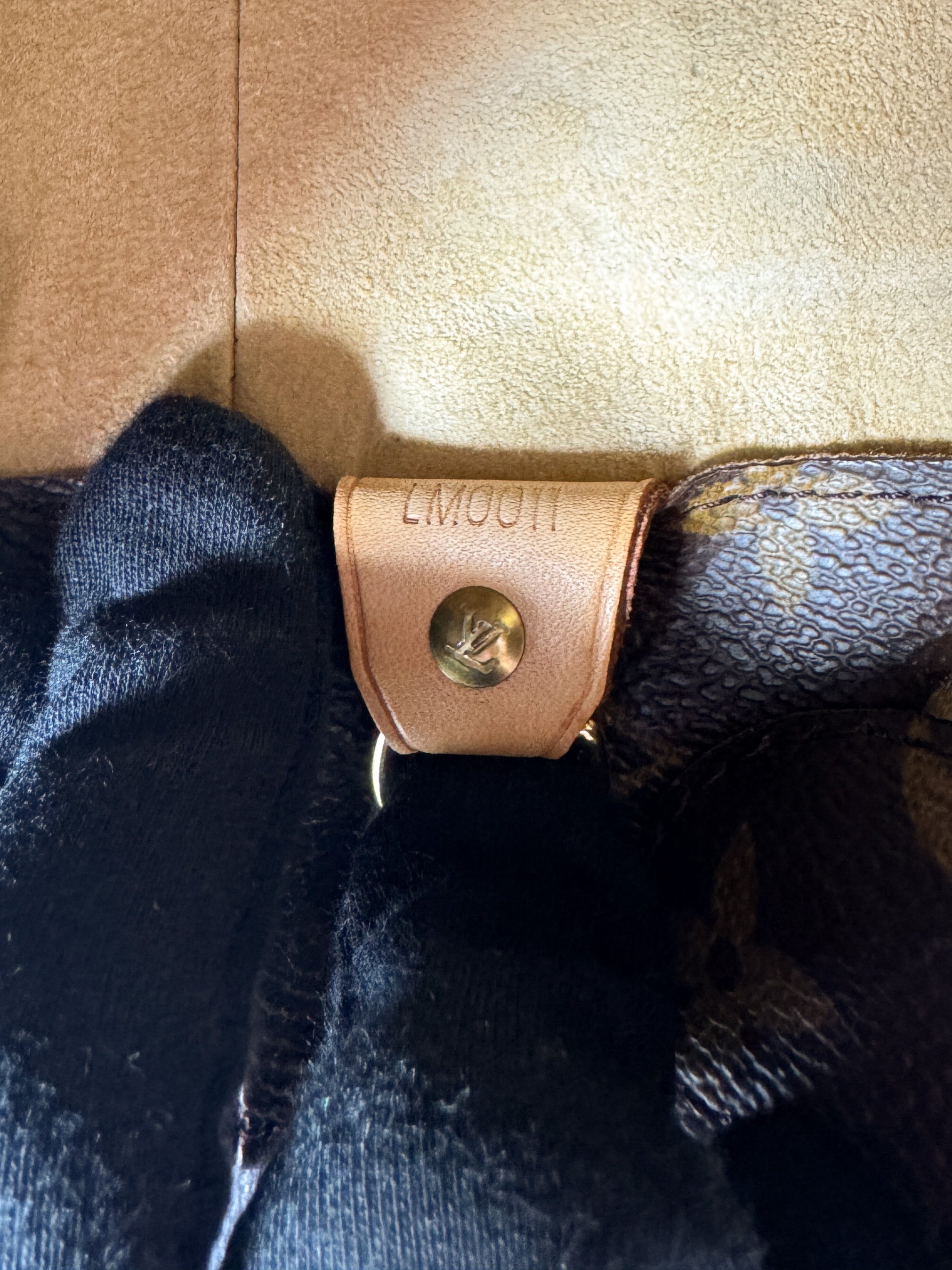 Louis Vuitton monogram Luco tote LM0011