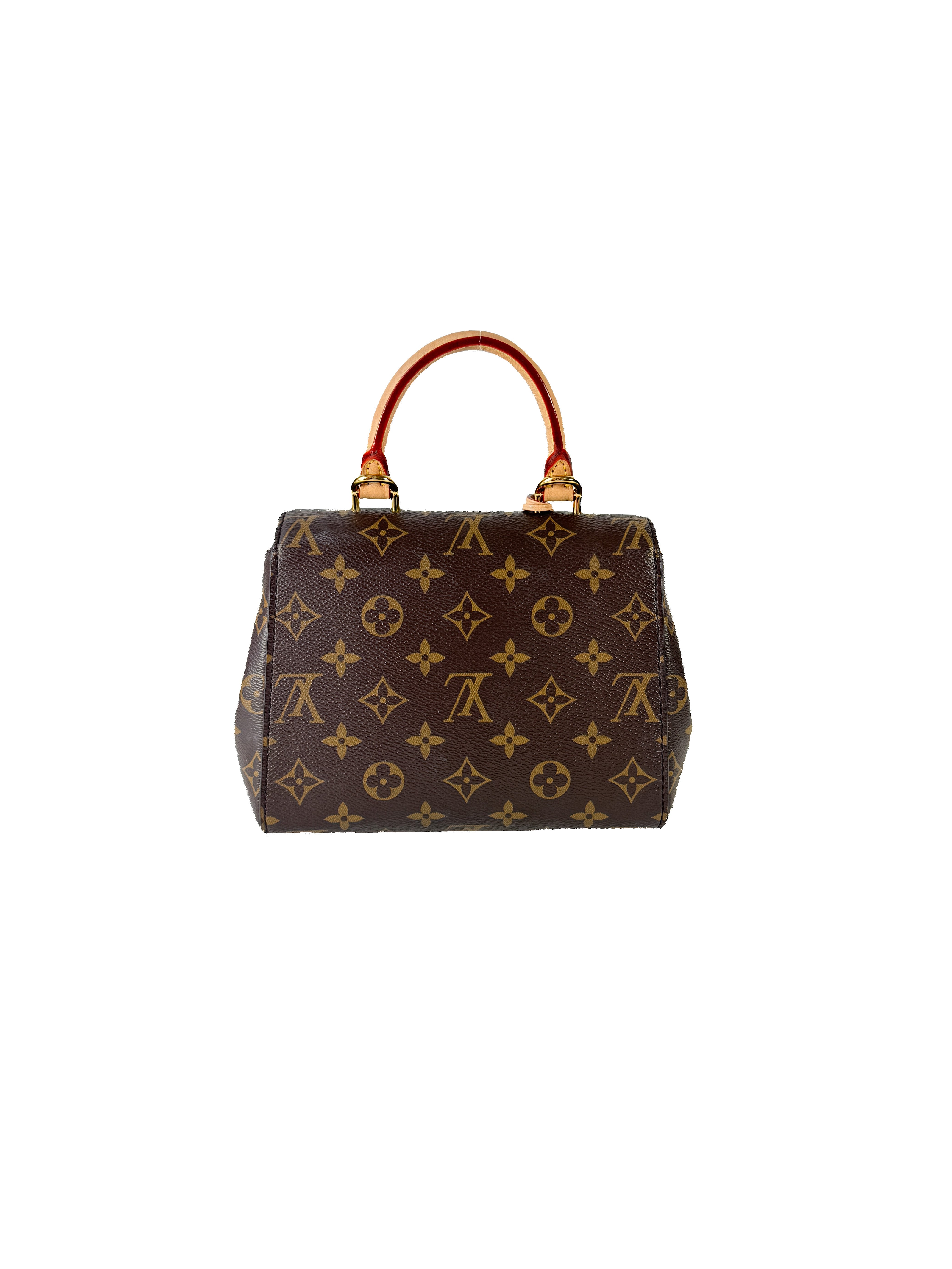 Louis Vuitton monogram Cluny Mini NFC