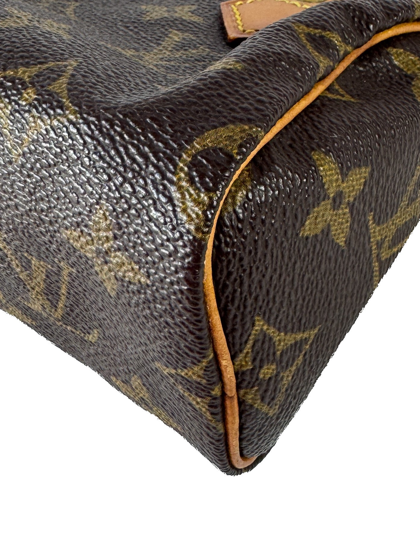 Louis Vuitton monogram mini Speedy TH0692