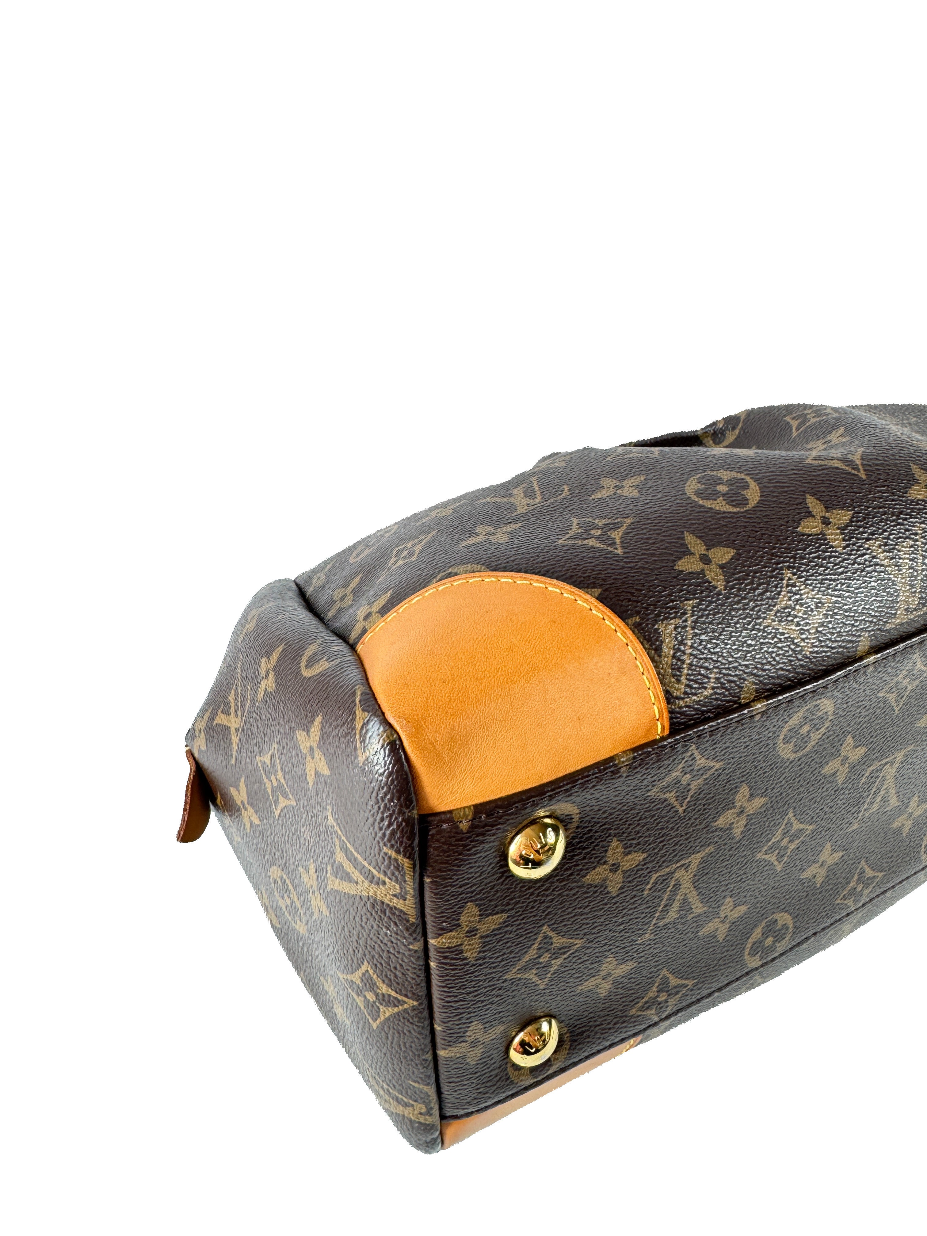 Louis Vuitton monogram Segur bag SP4105