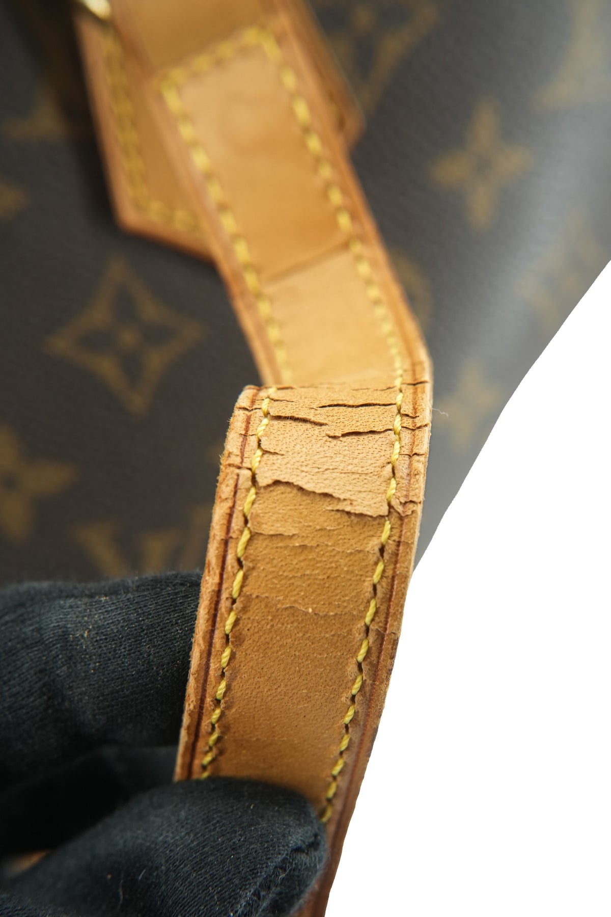 Louis Vuitton monogram Ellipse shopping tote VI2927