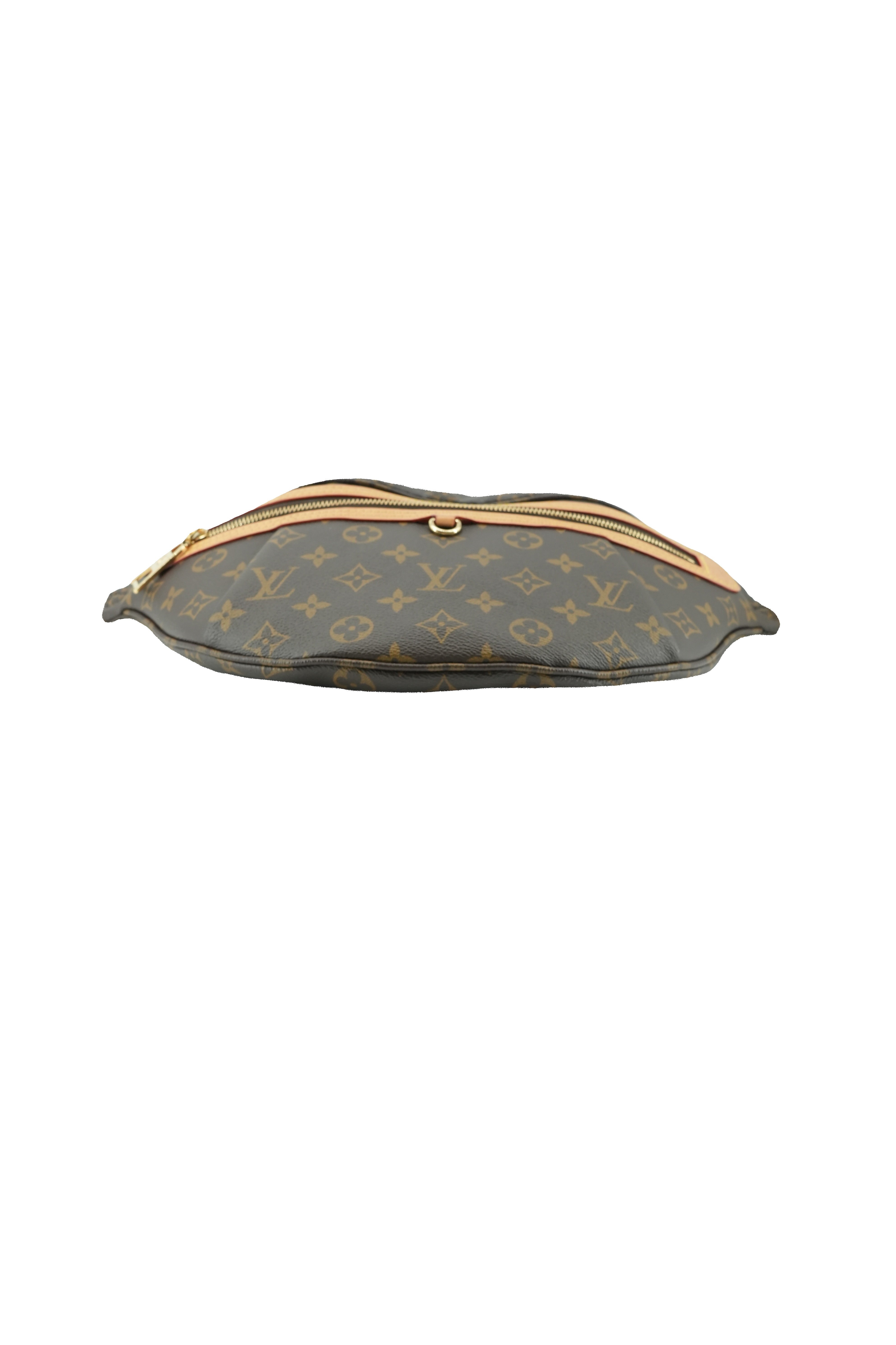 Louis Vuitton monogram high rise bum bag NFC