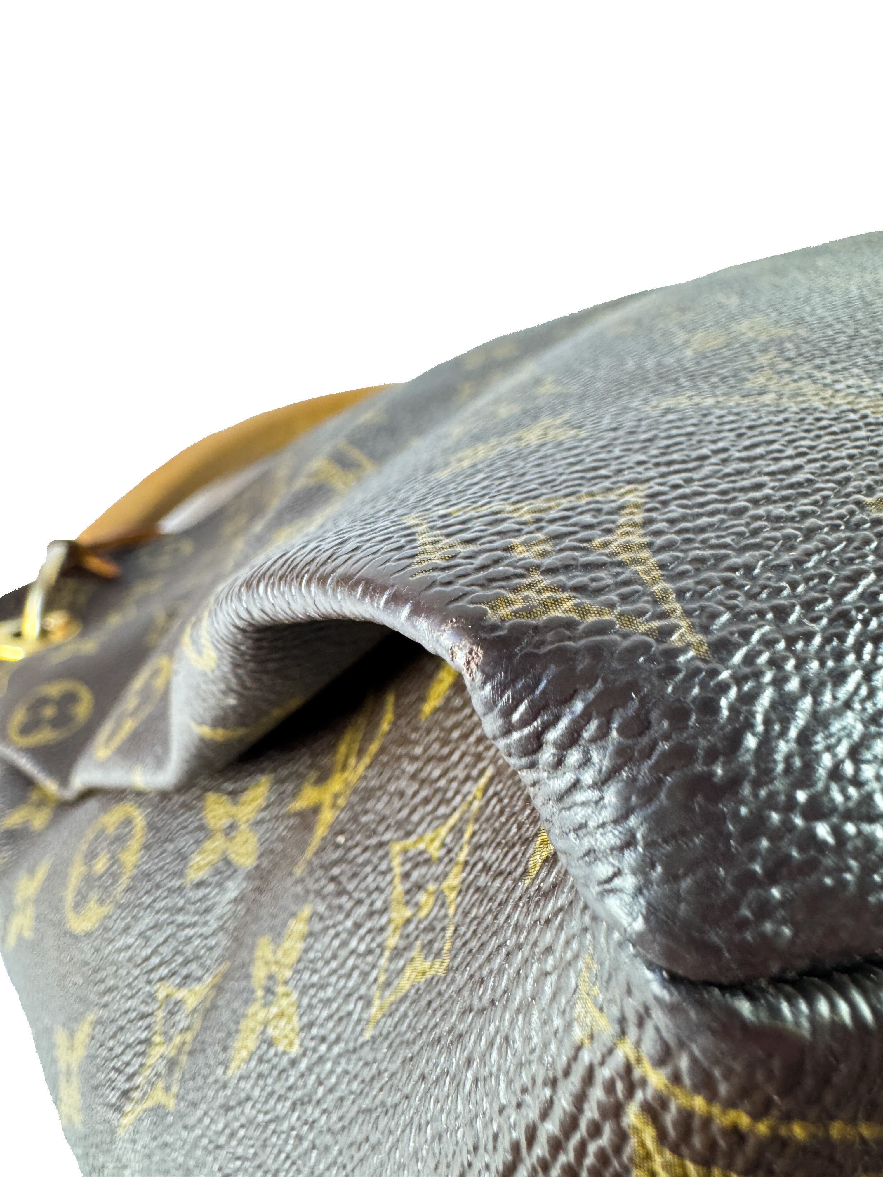 Louis Vuitton monogram Artsy MM CA4069