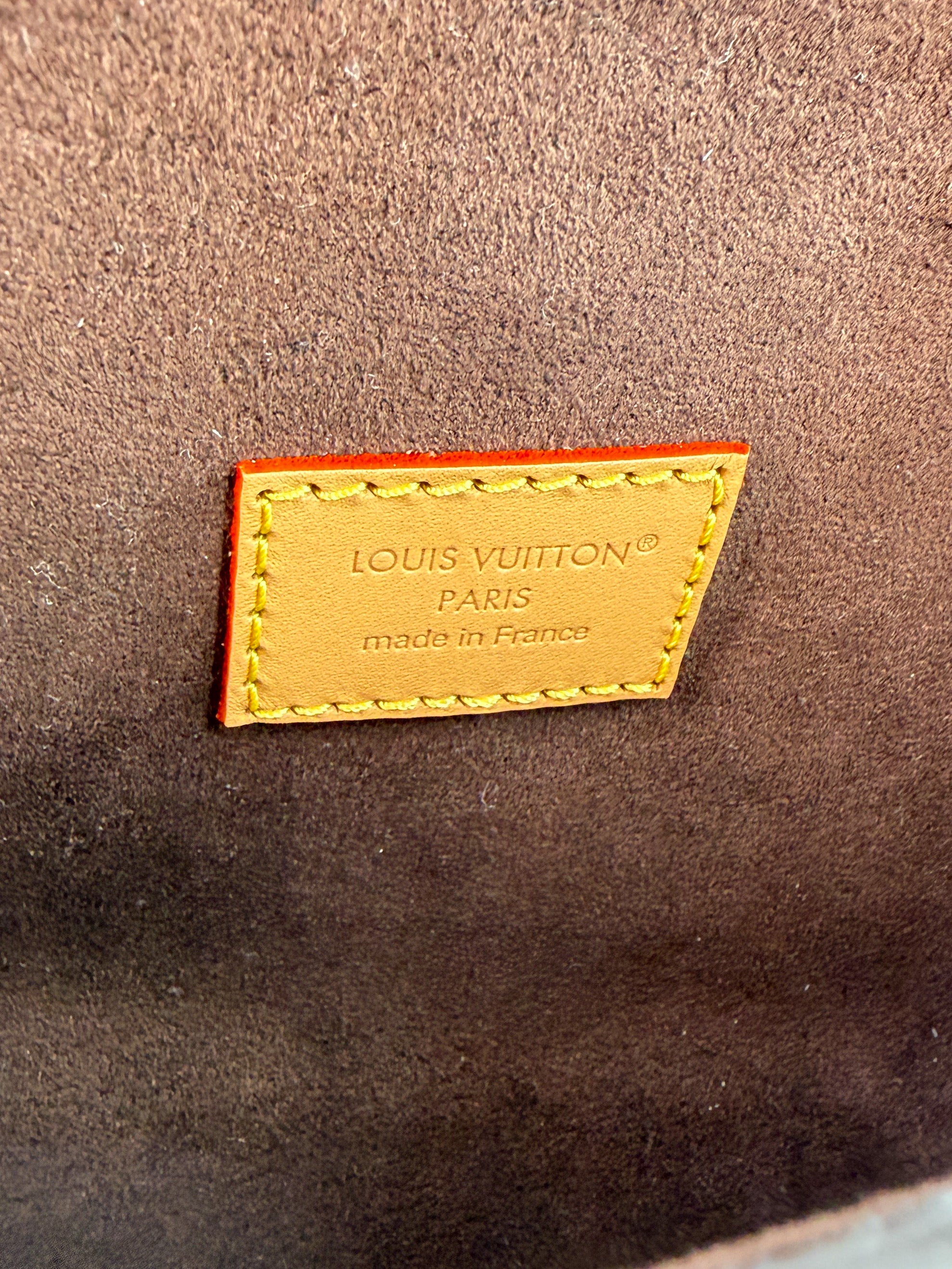 Louis Vuitton monogram pochette Camille NFC