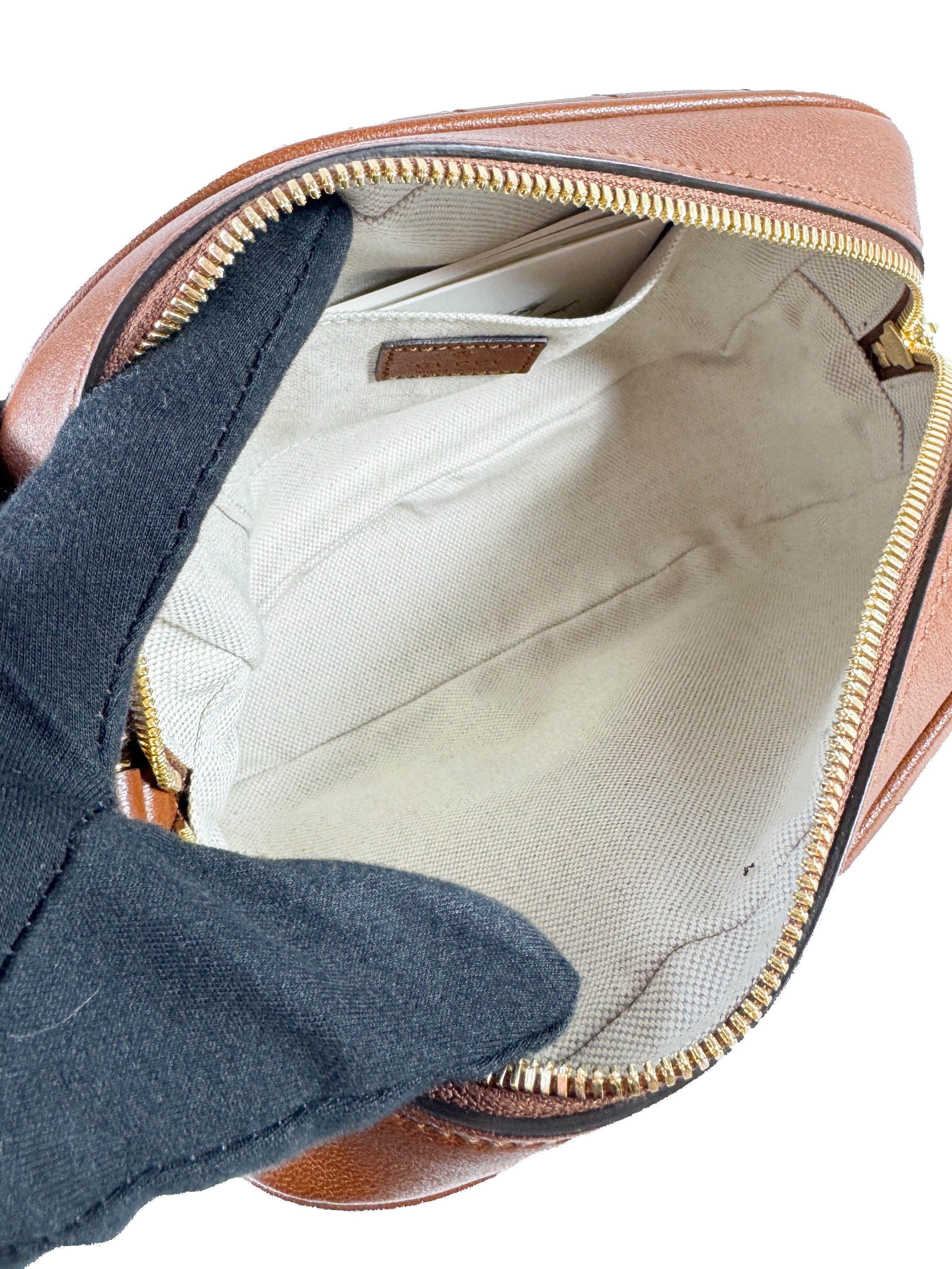 Gucci brown Sakai be green small blondie 742360 520981