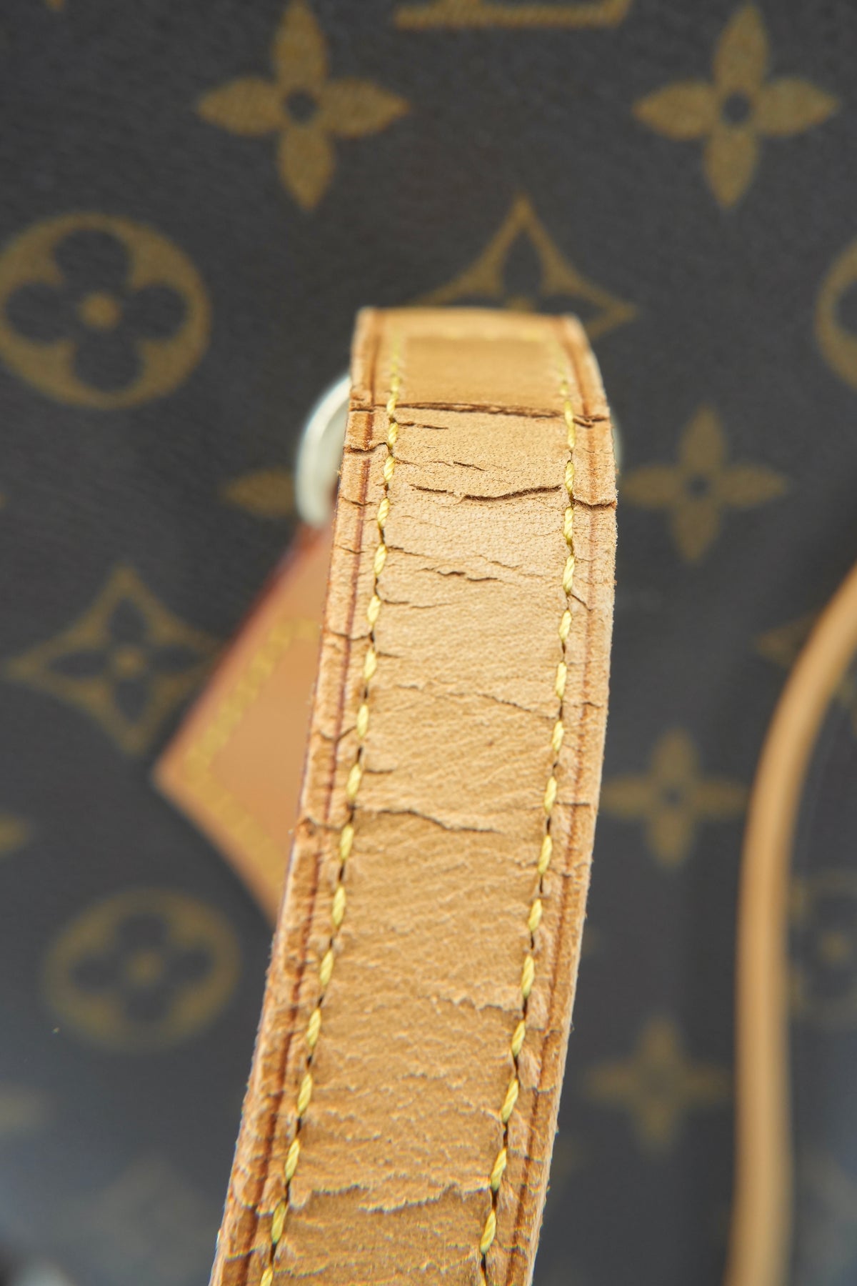 Louis Vuitton monogram Ellipse shopping tote VI2927