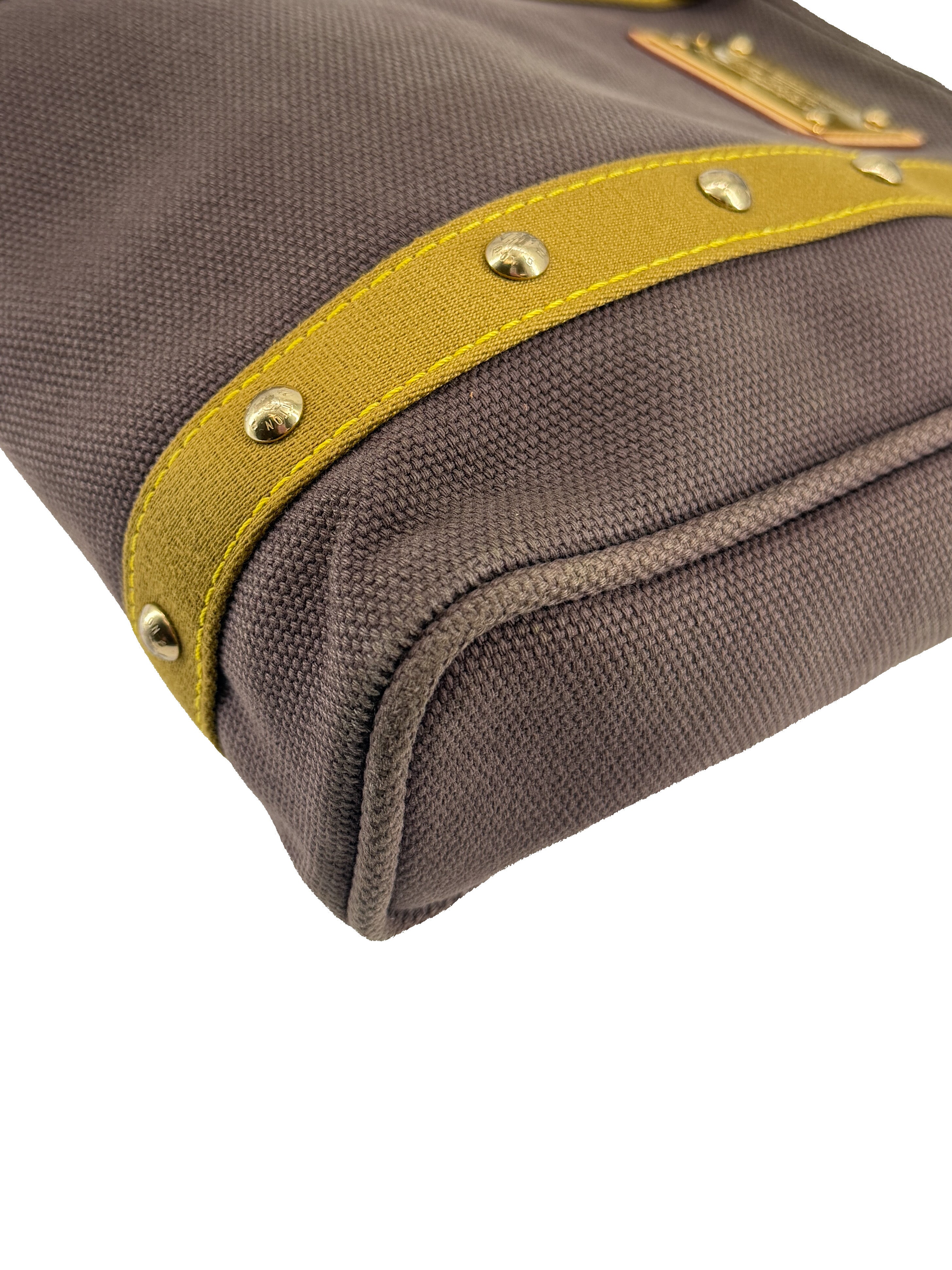 Louis Vuitton brown Cabas Antigua tote MM SP1015