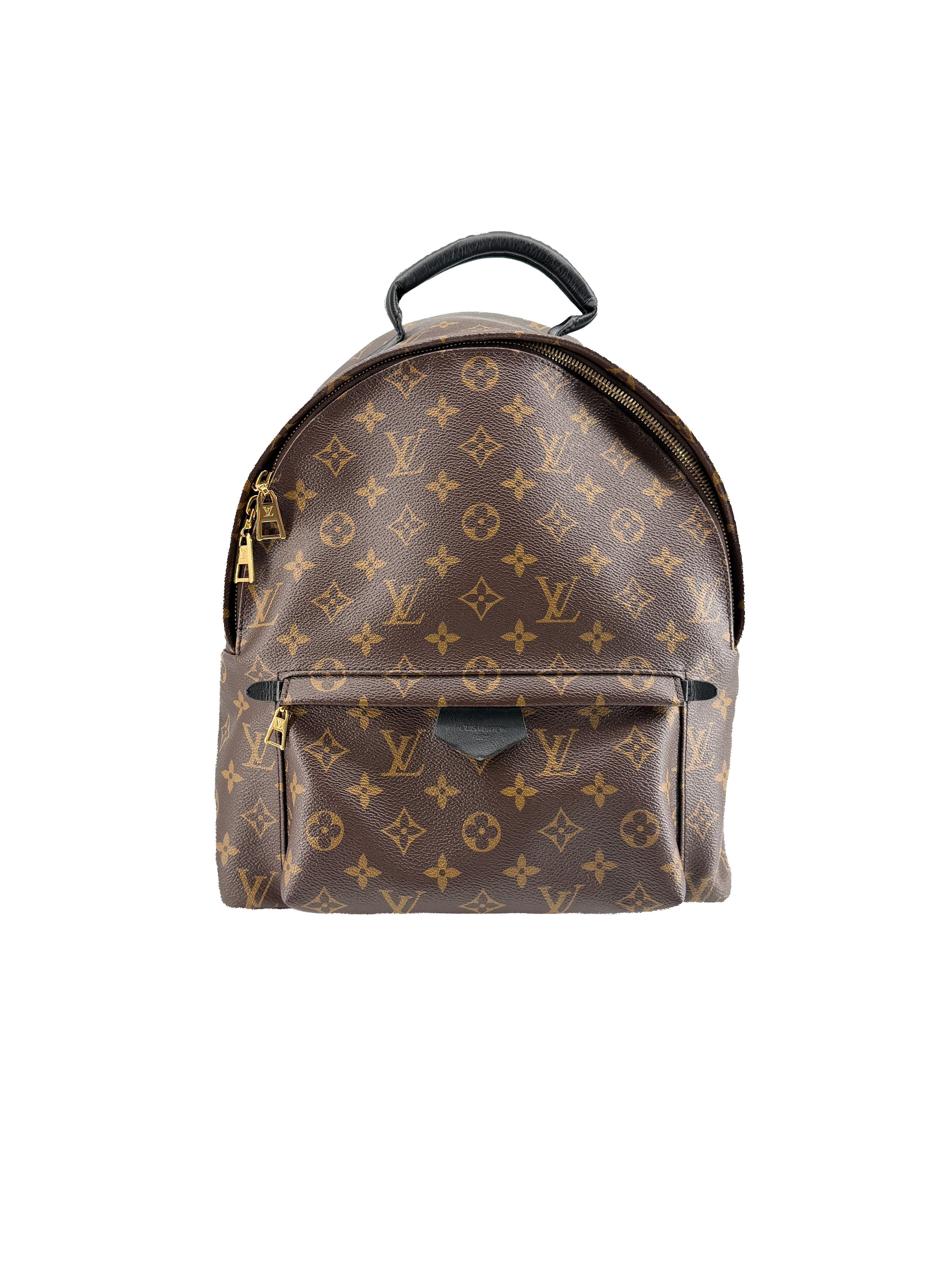 Louis Vuitton monogram Palm Springs MM FL3198