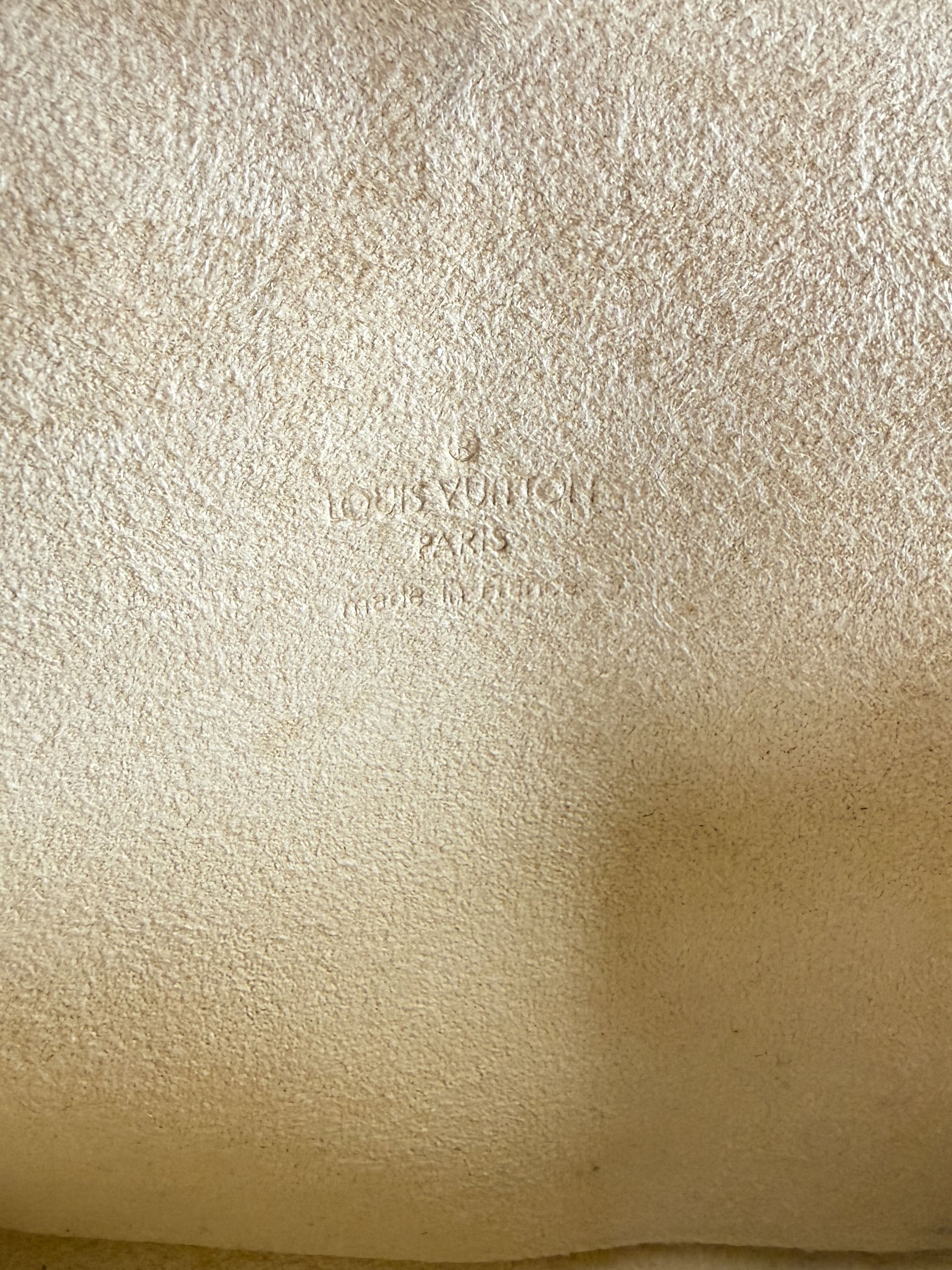 Louis Vuitton monogram Florentine waist bag FL0015