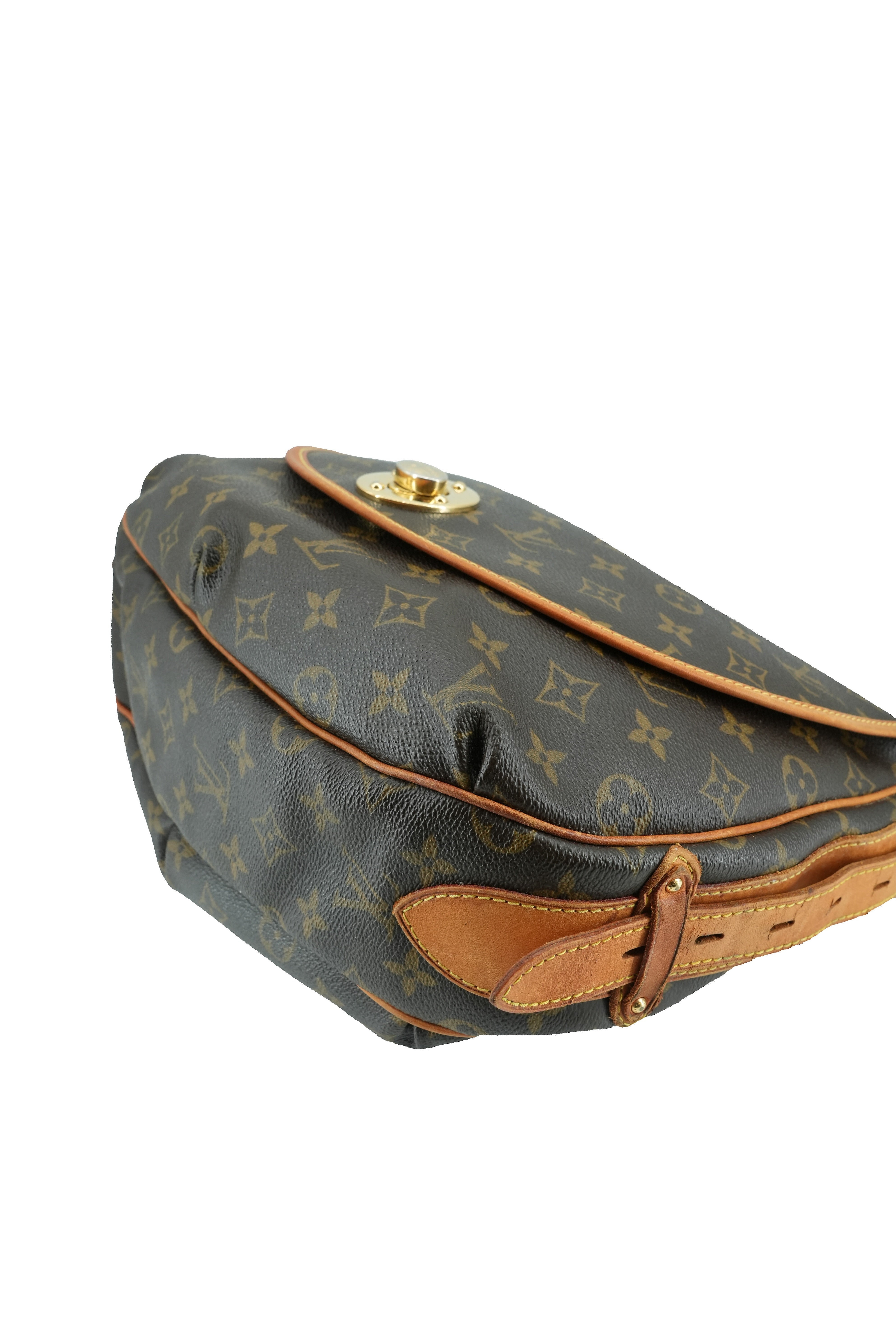 Louis Vuitton monogram Tulum PM shoulder bag CA0017