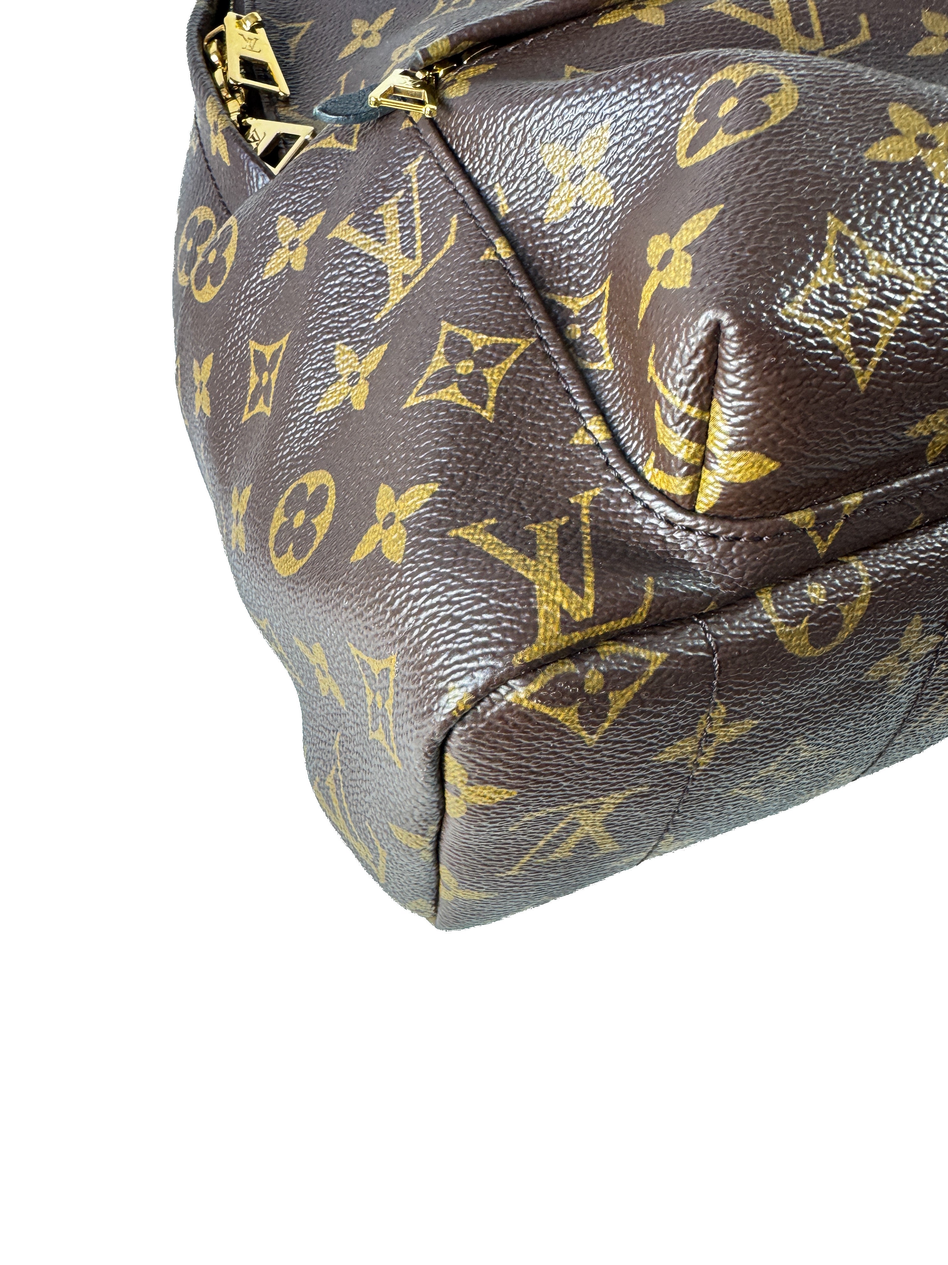 Louis Vuitton Palm Springs Backpack Monogram Canvas MM FL3198