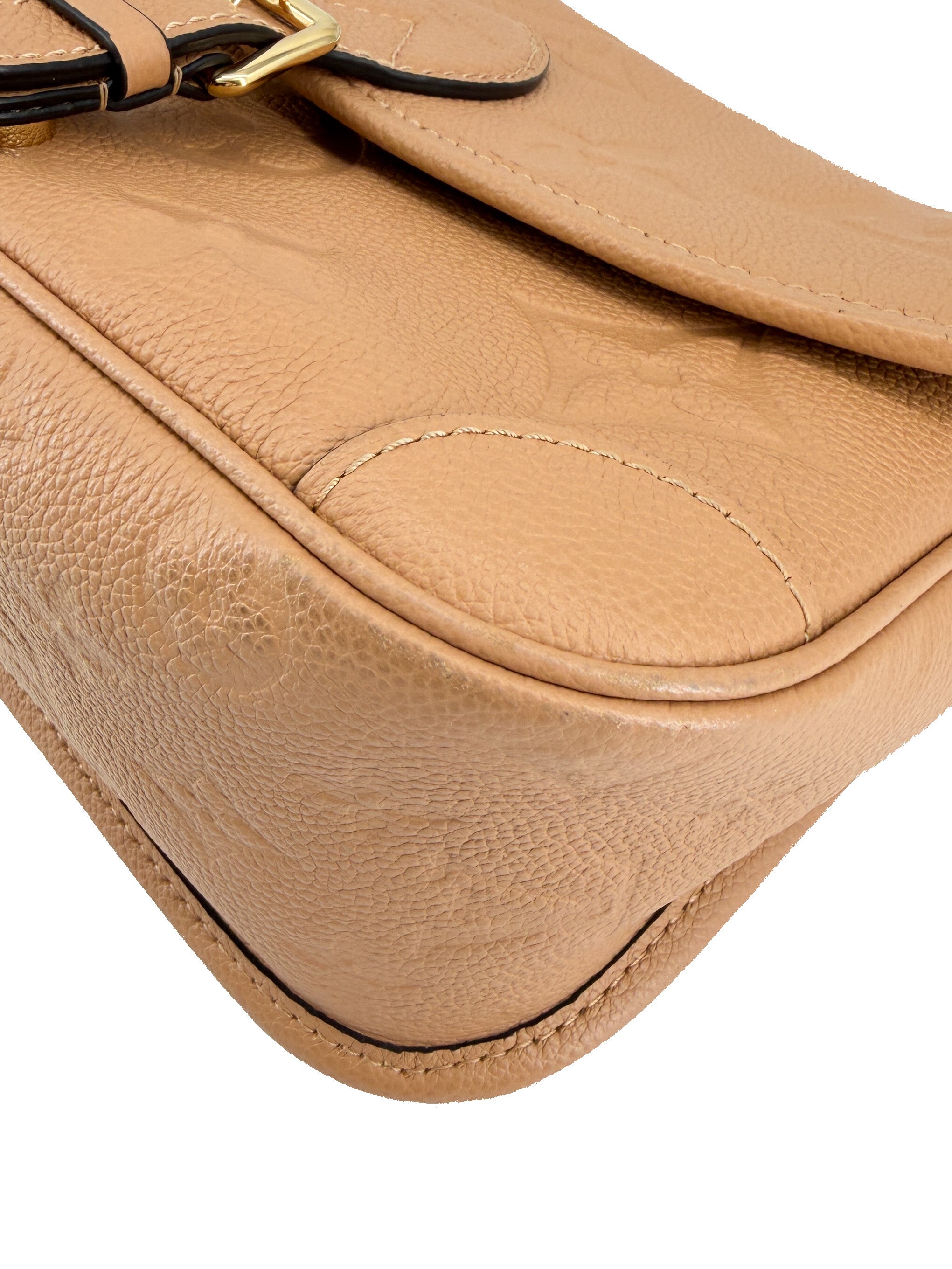 Louis Vuitton monogram empreinte Giant Diane NFC