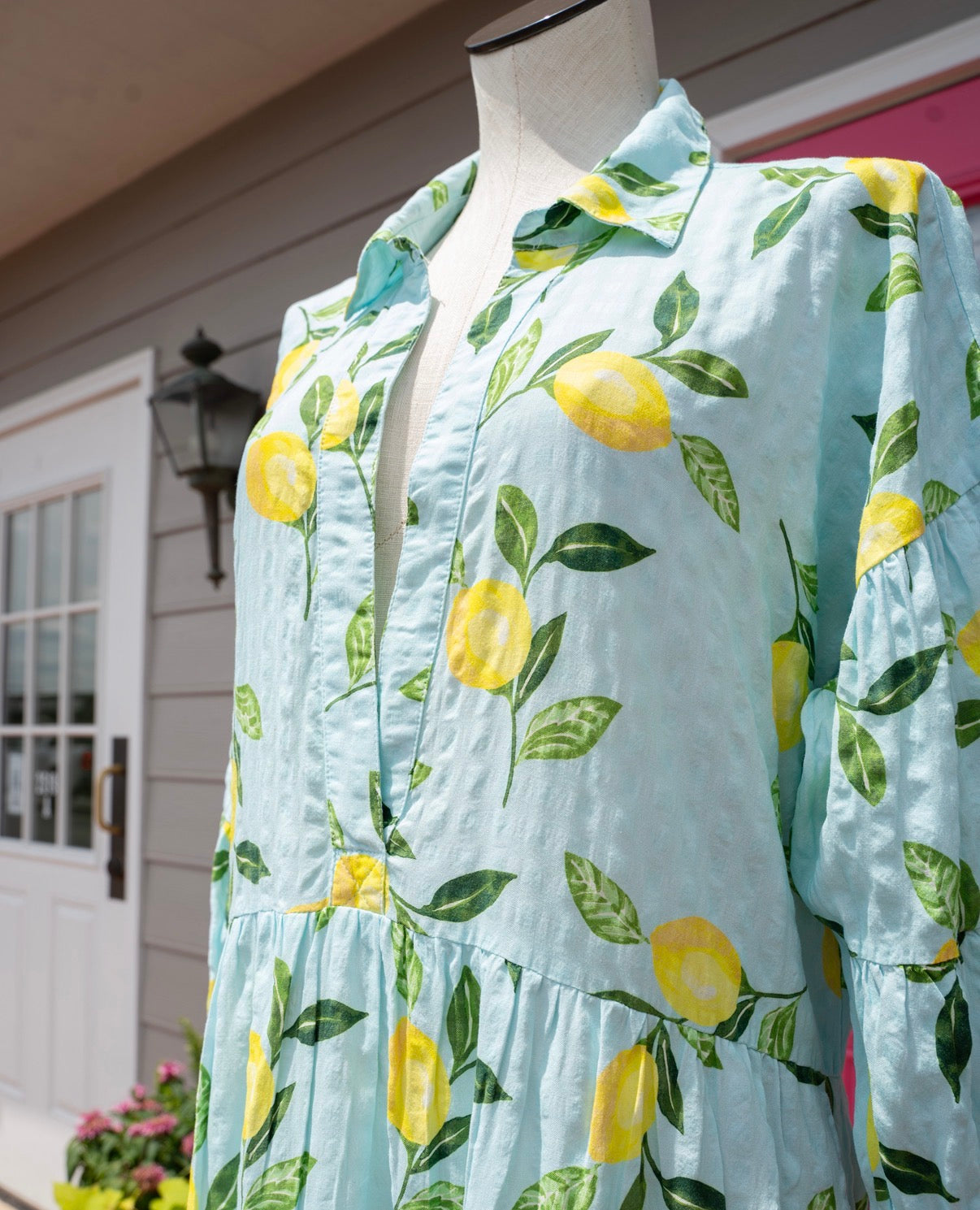 Anthropologie blue lemon dress size L NWT