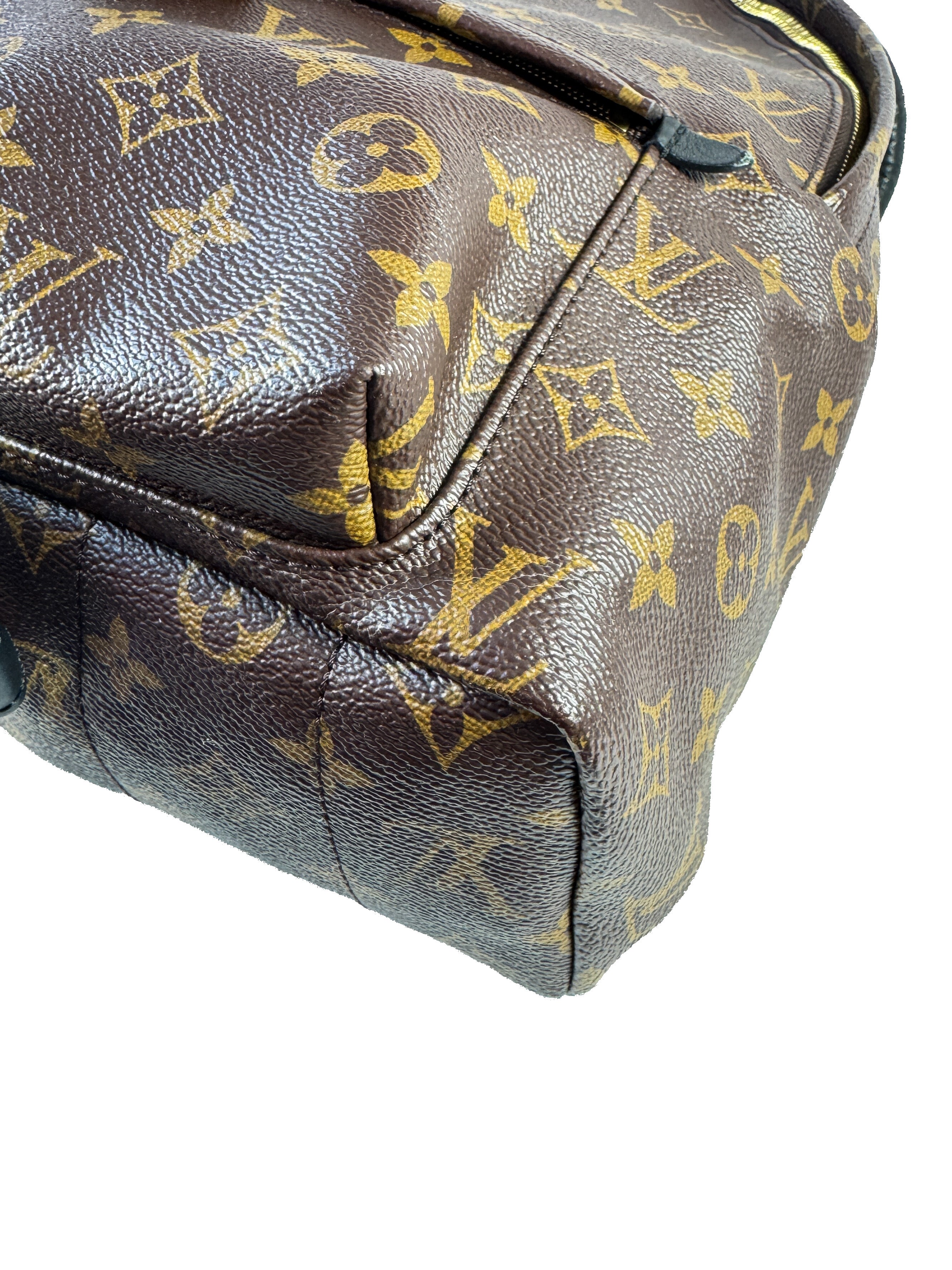Louis Vuitton Palm Springs Backpack Monogram Canvas MM FL3198