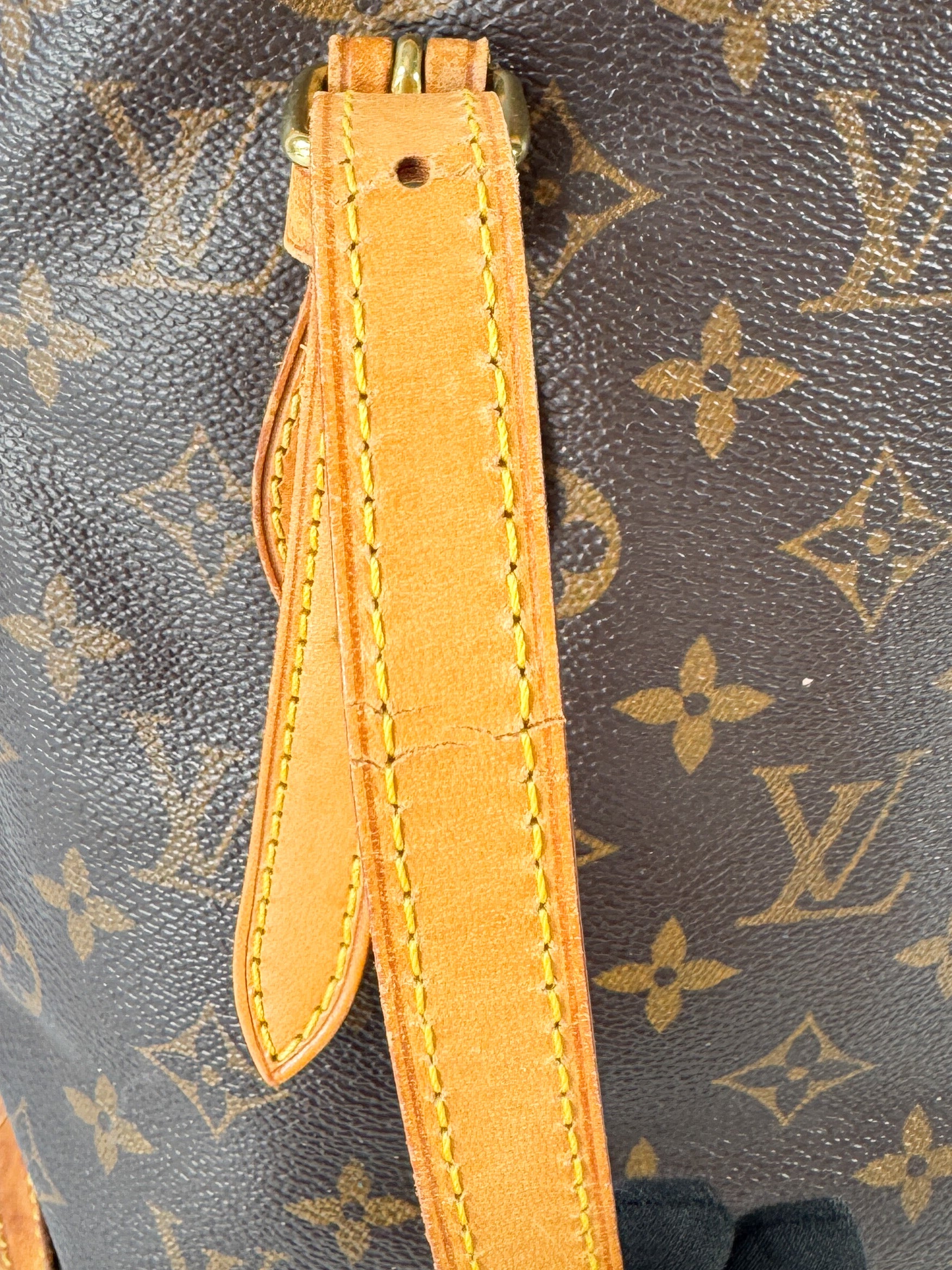 Louis Vuitton monogram Bucket PM DK1068