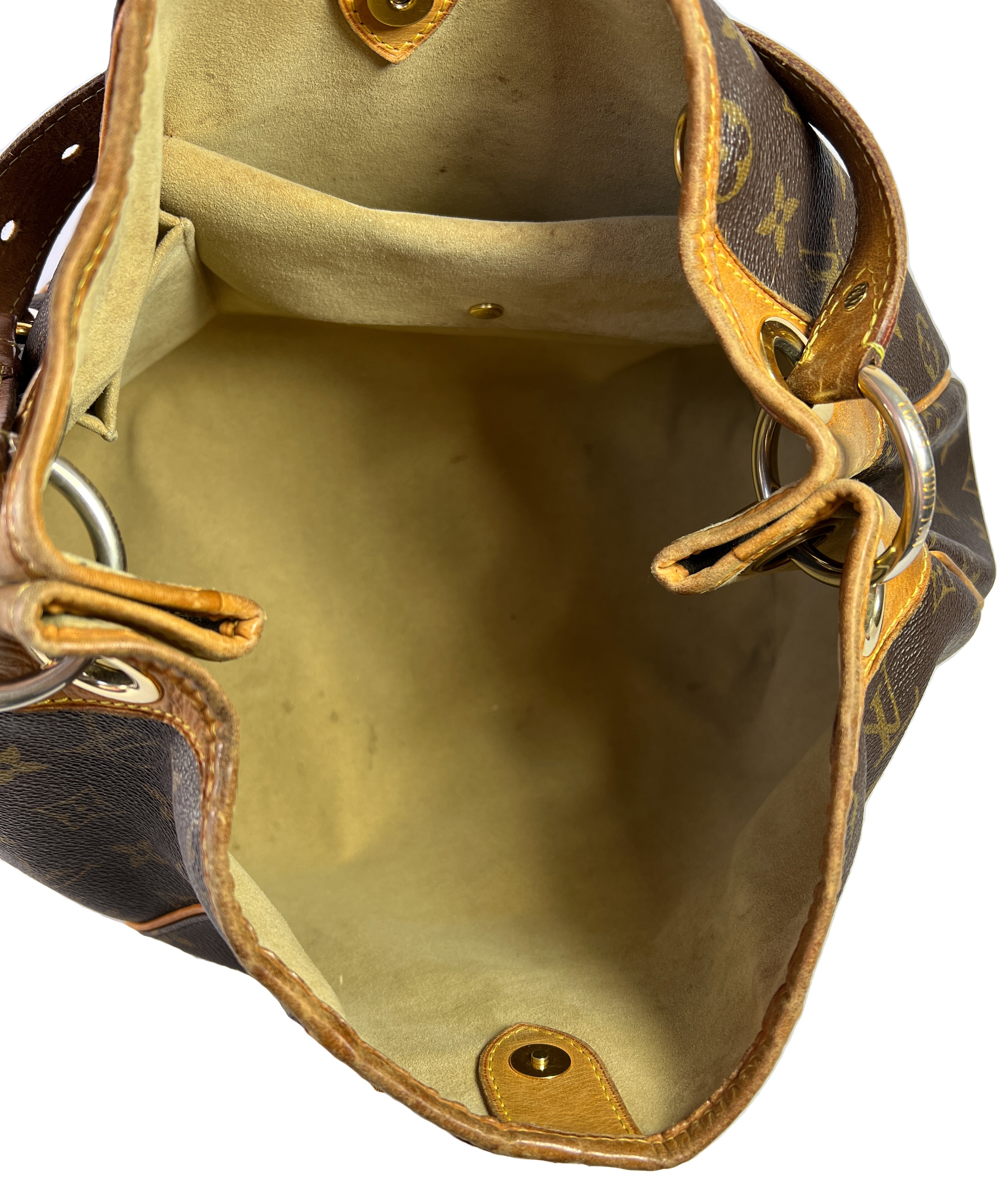 Louis Vuitton galleria monogram shoulder bag PM
