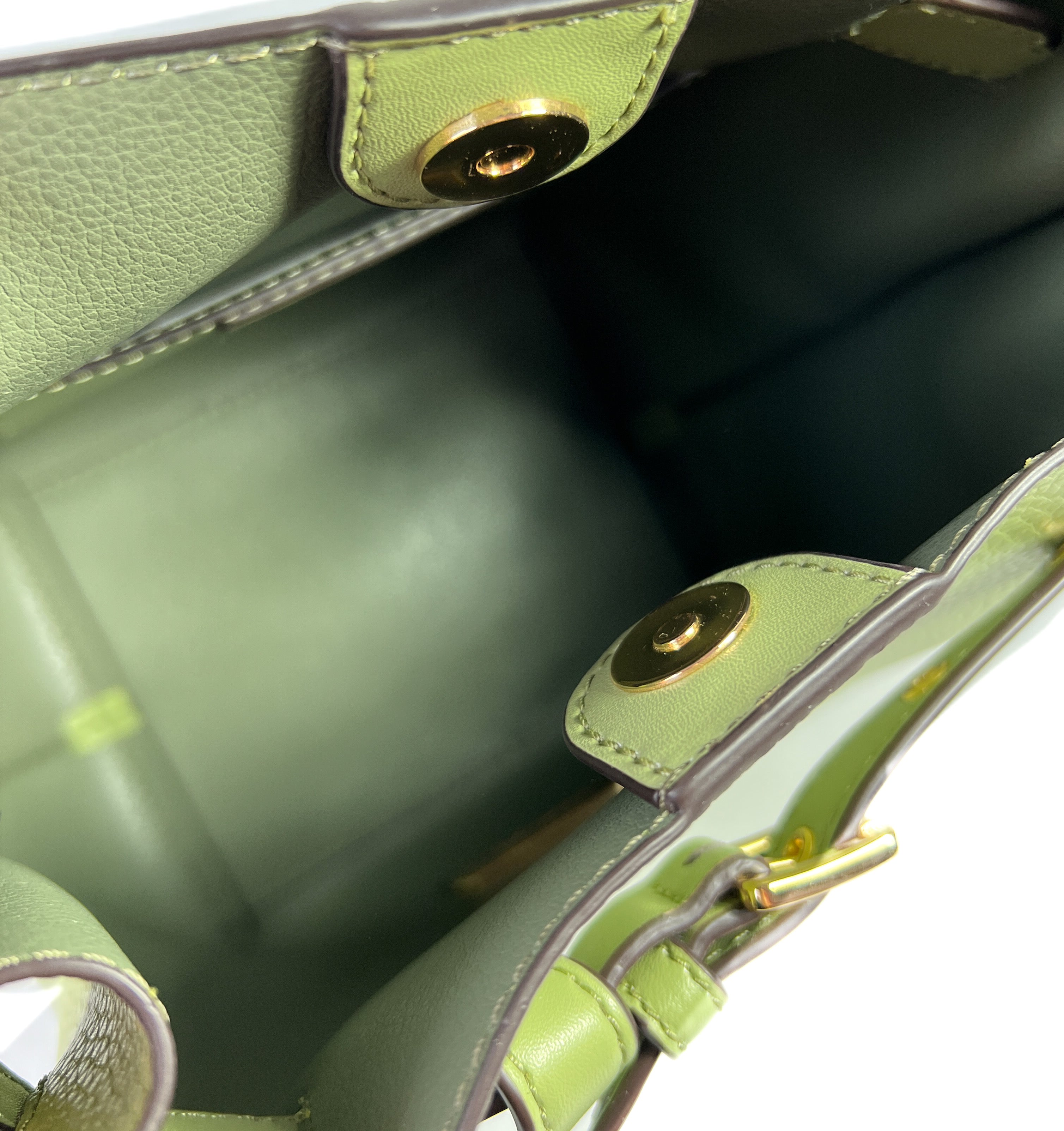 Michael Kors Emilia green leather bucket crossbody NWT