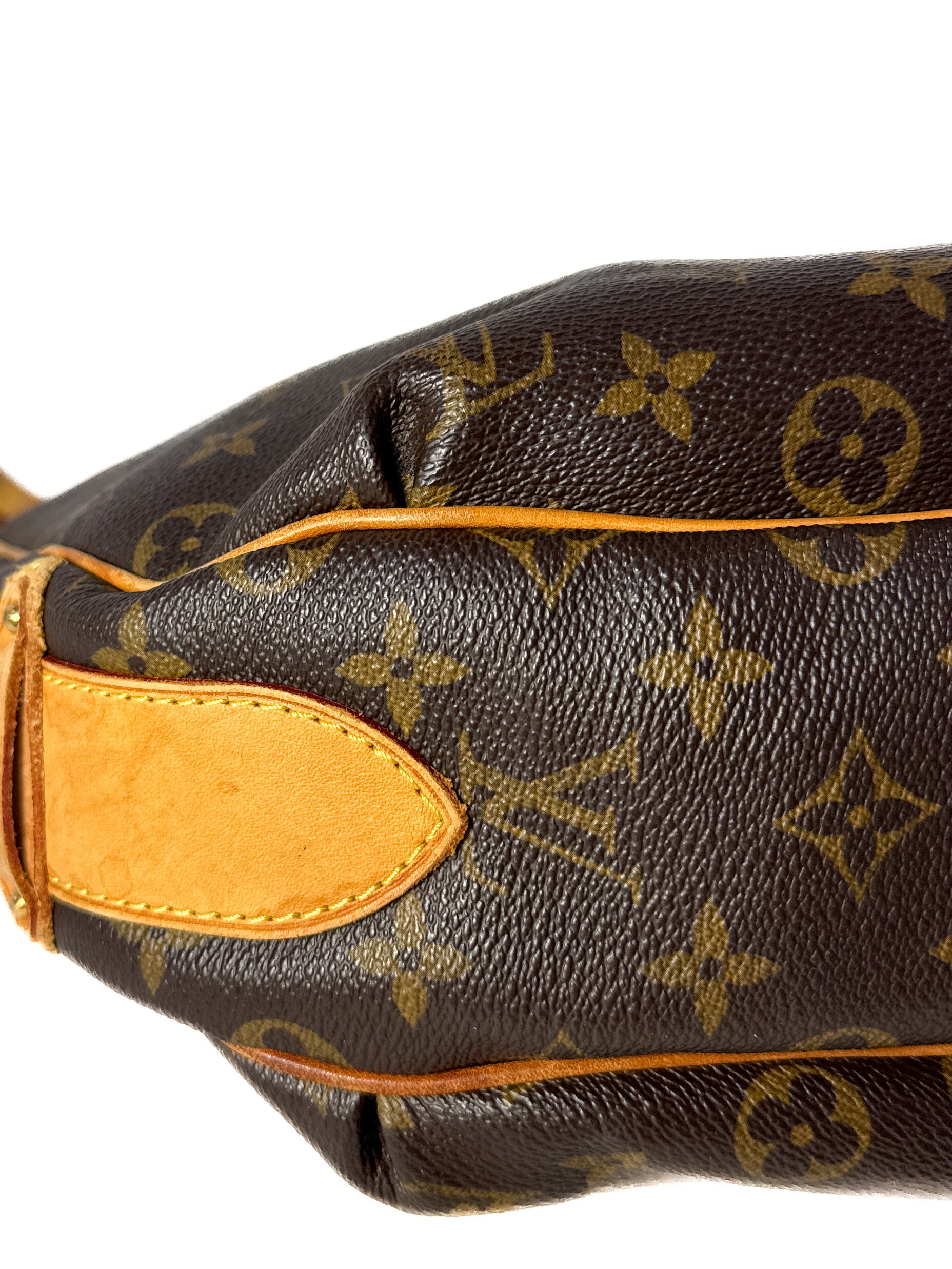 Louis Vuitton monogram Tulum PM shoulder bag CA0017