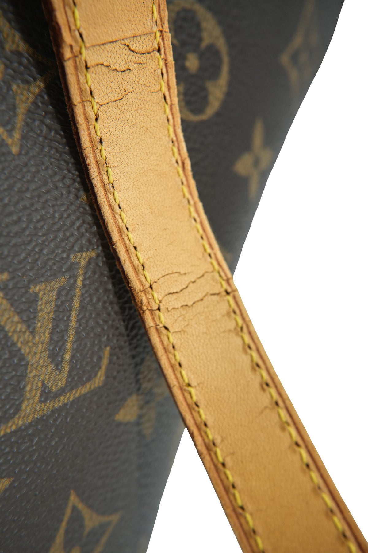 Louis Vuitton monogram Ellipse shopping tote VI2927