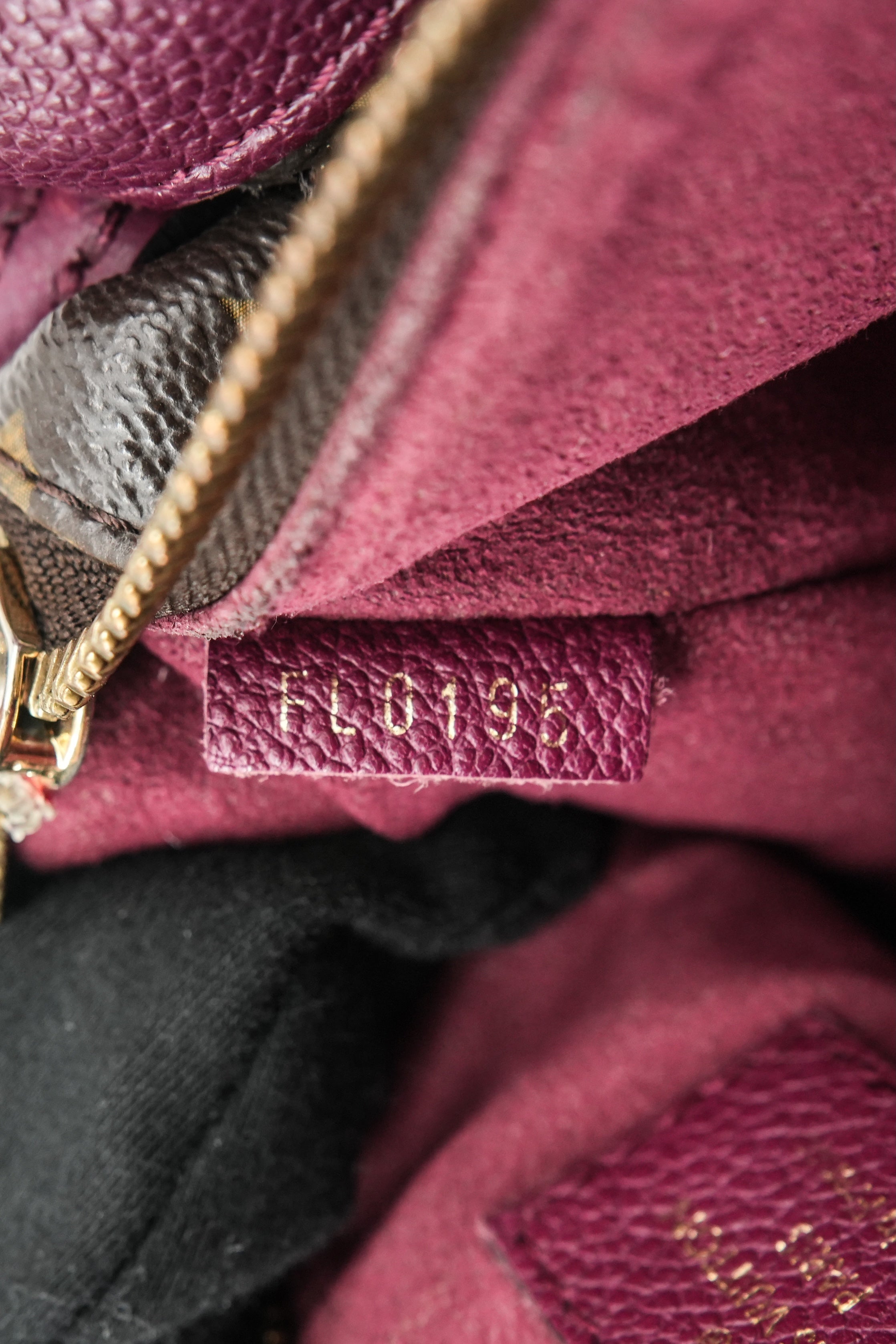 Louis Vuitton monogram Aurore Twice crossbody FL0195