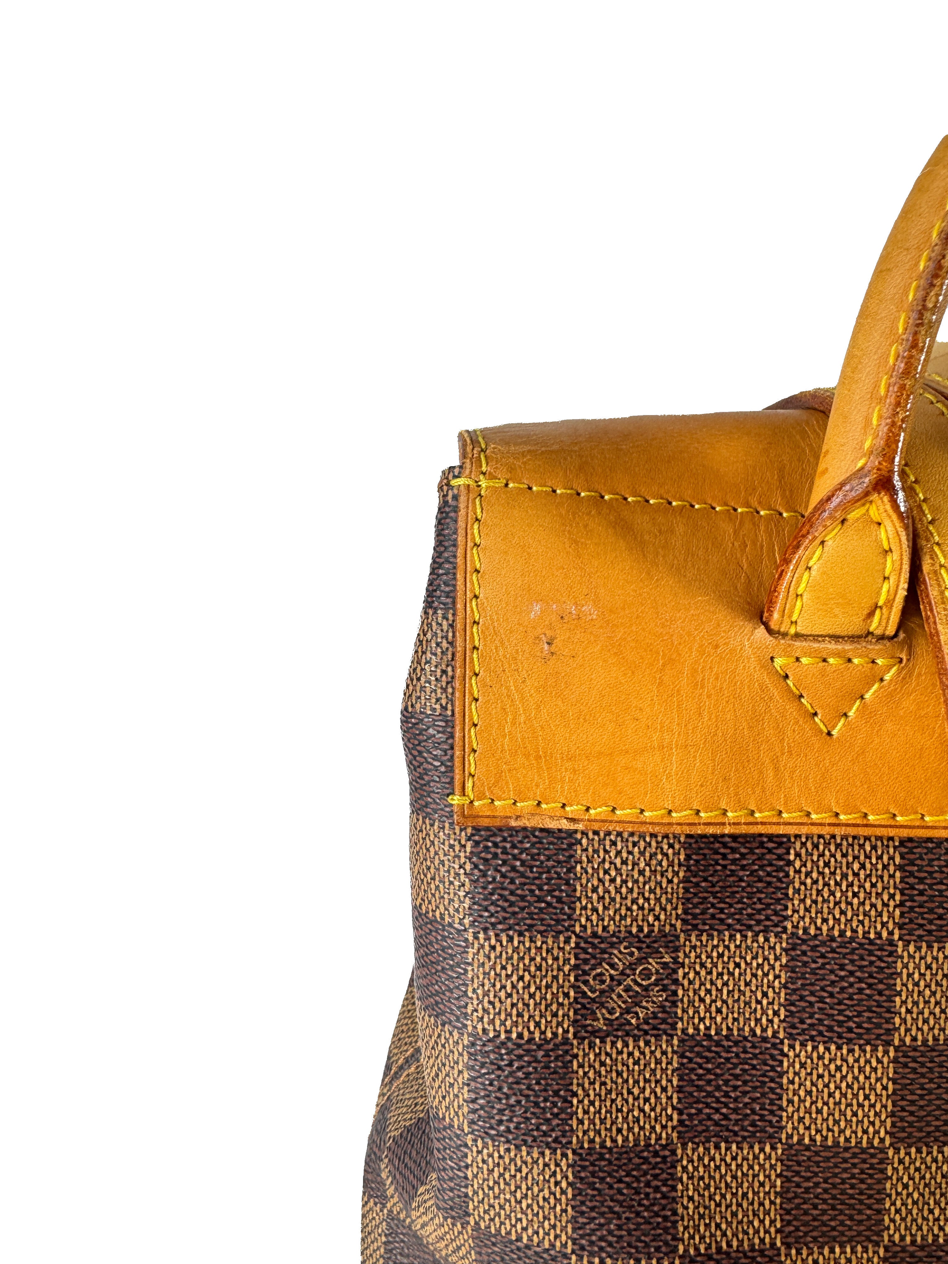 Louis Vuitton damier ebene Arlequin centenaire backpack