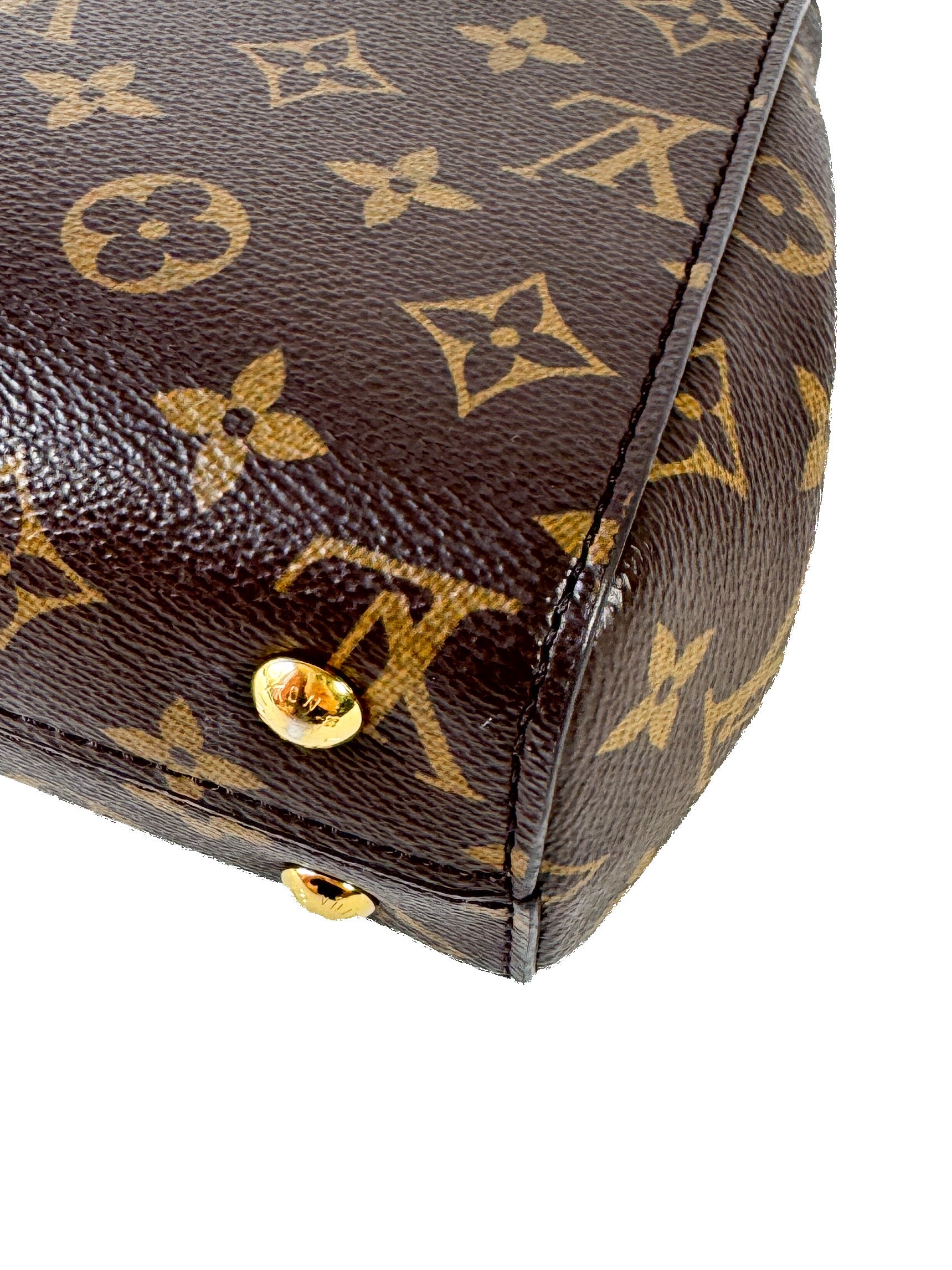 Louis Vuitton monogram Cluny Mini NFC