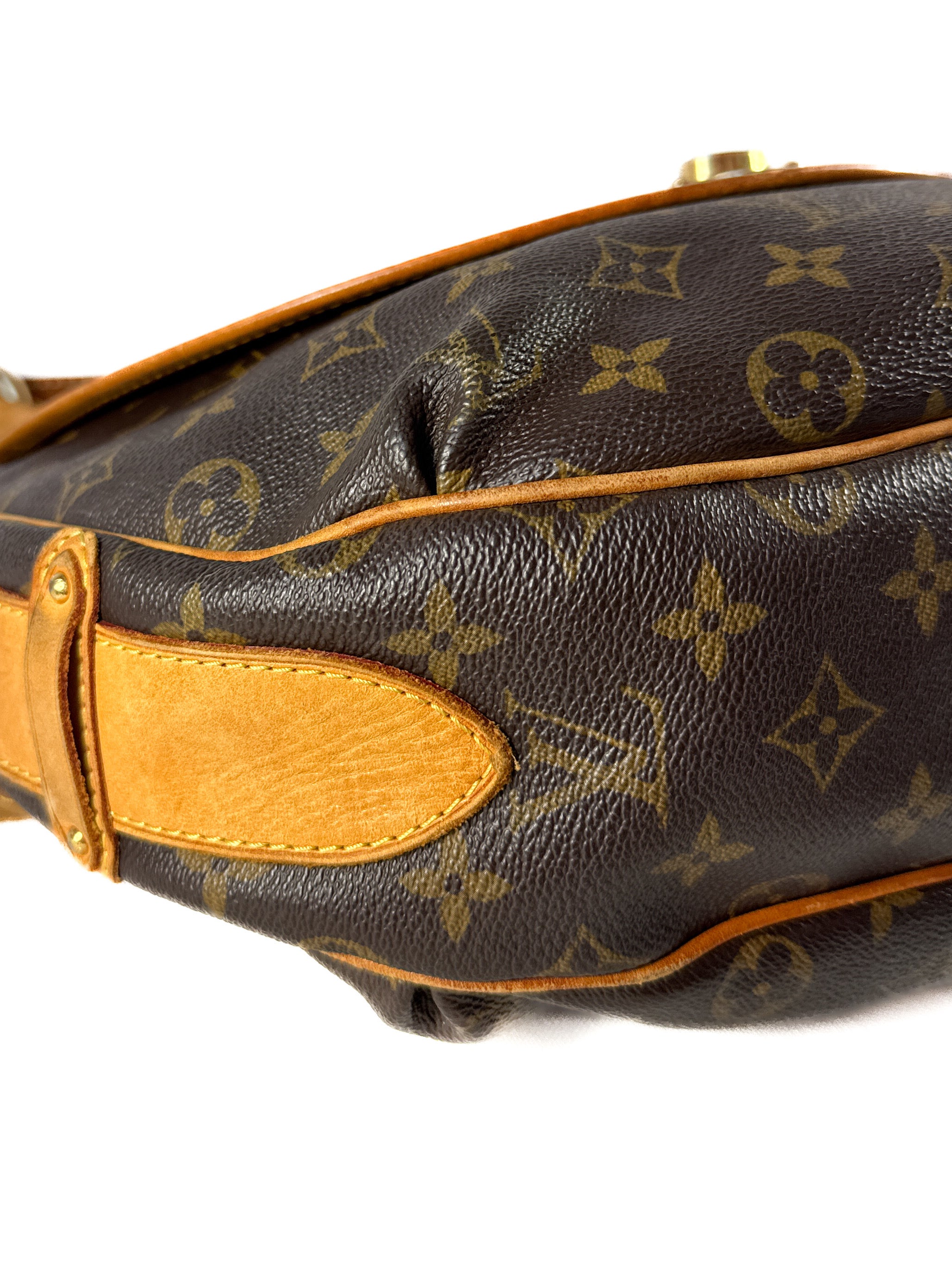 Louis Vuitton monogram Tulum PM shoulder bag CA0017