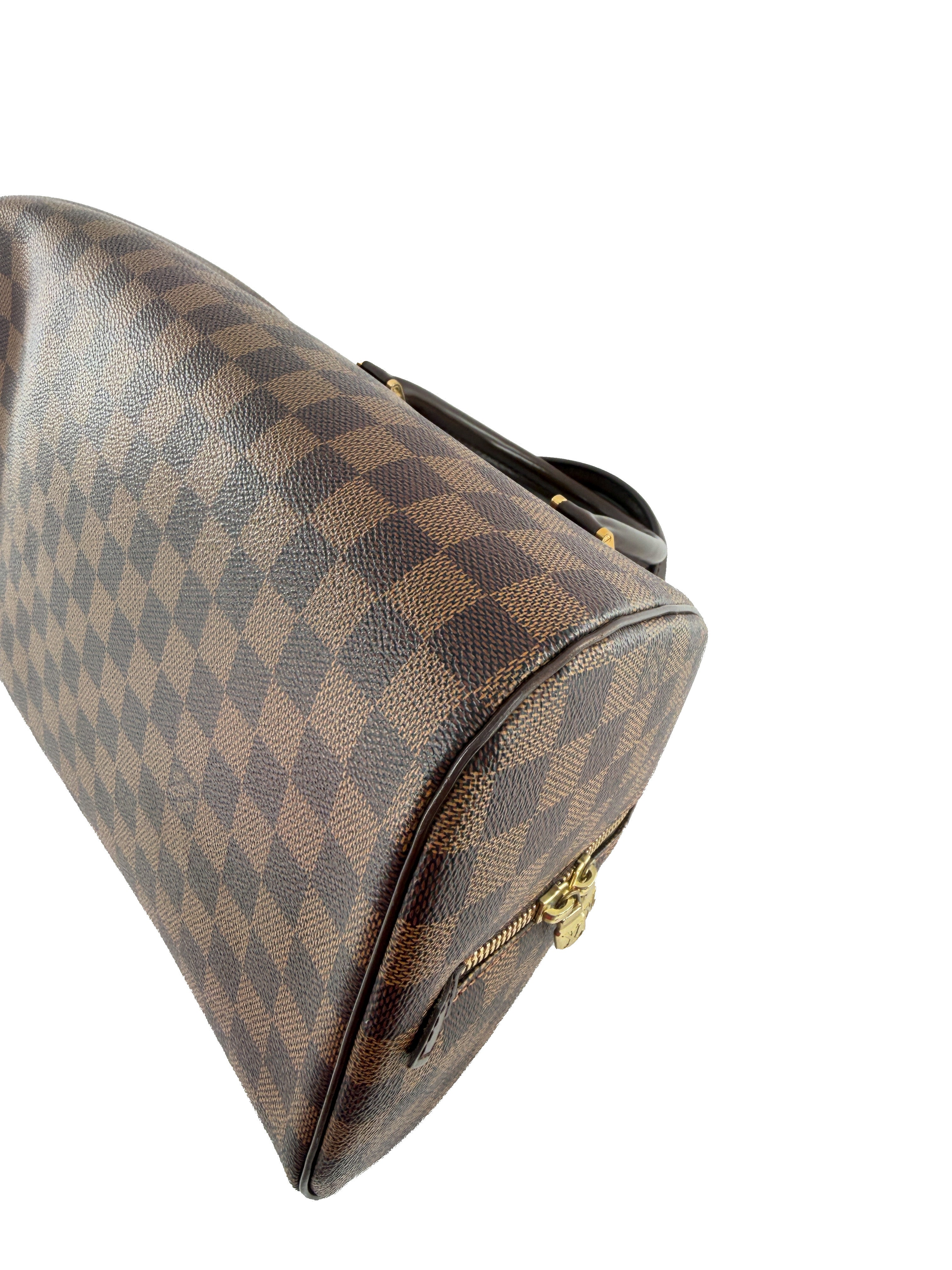 Louis Vuitton damier ebene Ribera MM CA0065