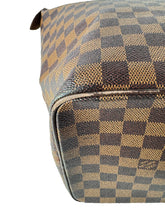 Louis Vuitton damier ebene Saleya MM tote FL0025
